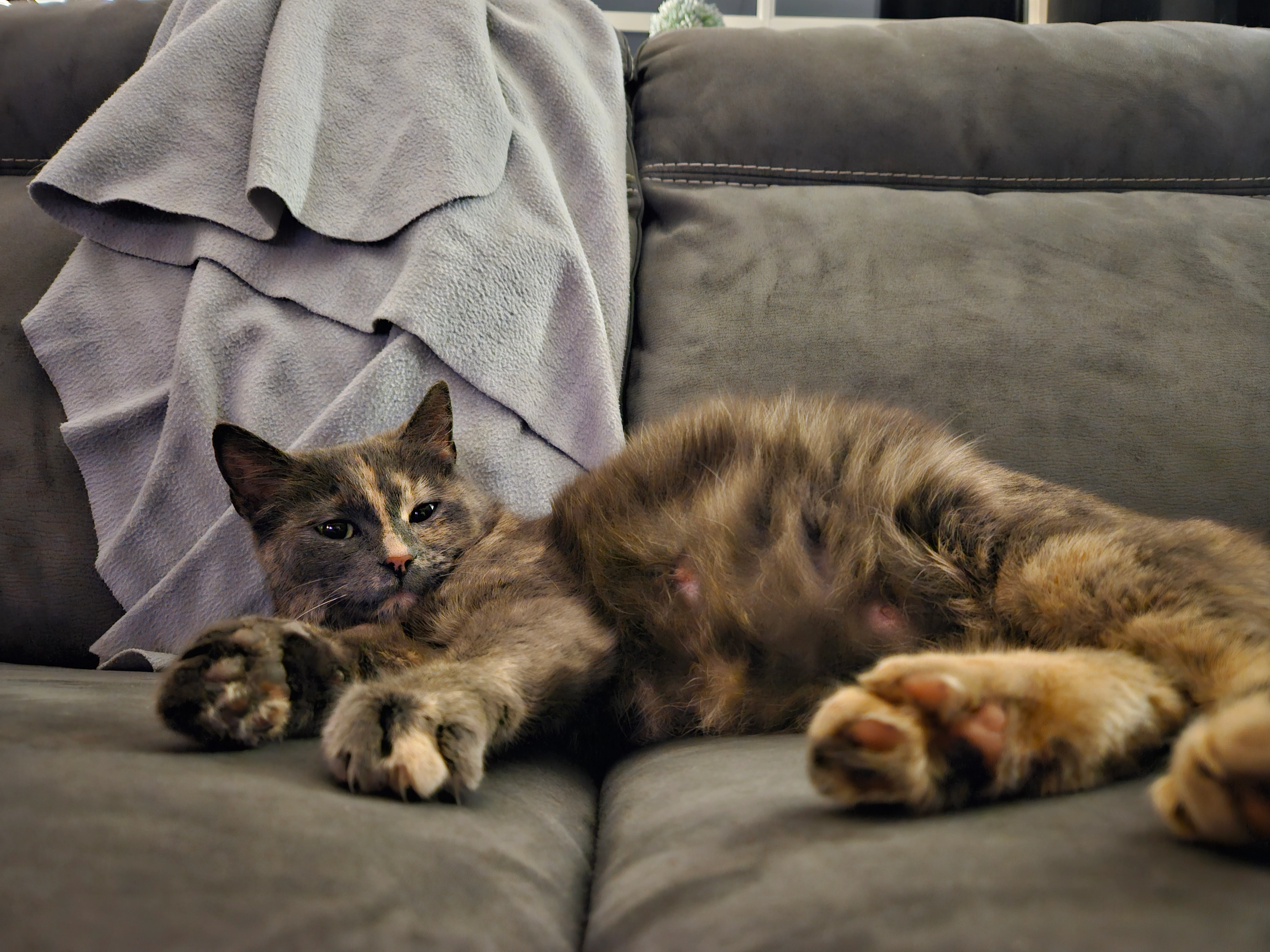 Ellie - Hoofdvaartsweg, Assen