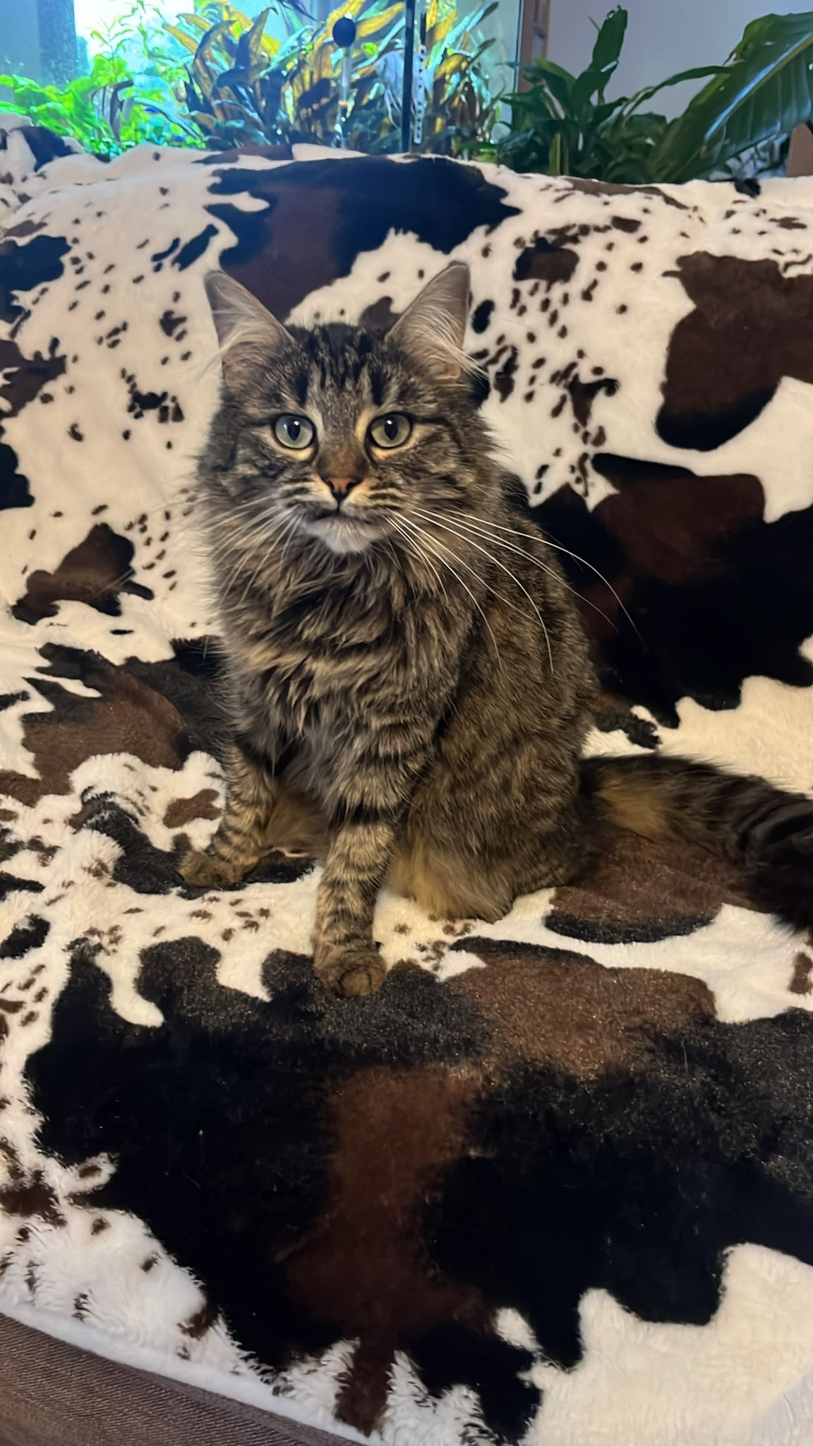 Umi - 1178 Route de Tours, Albertville