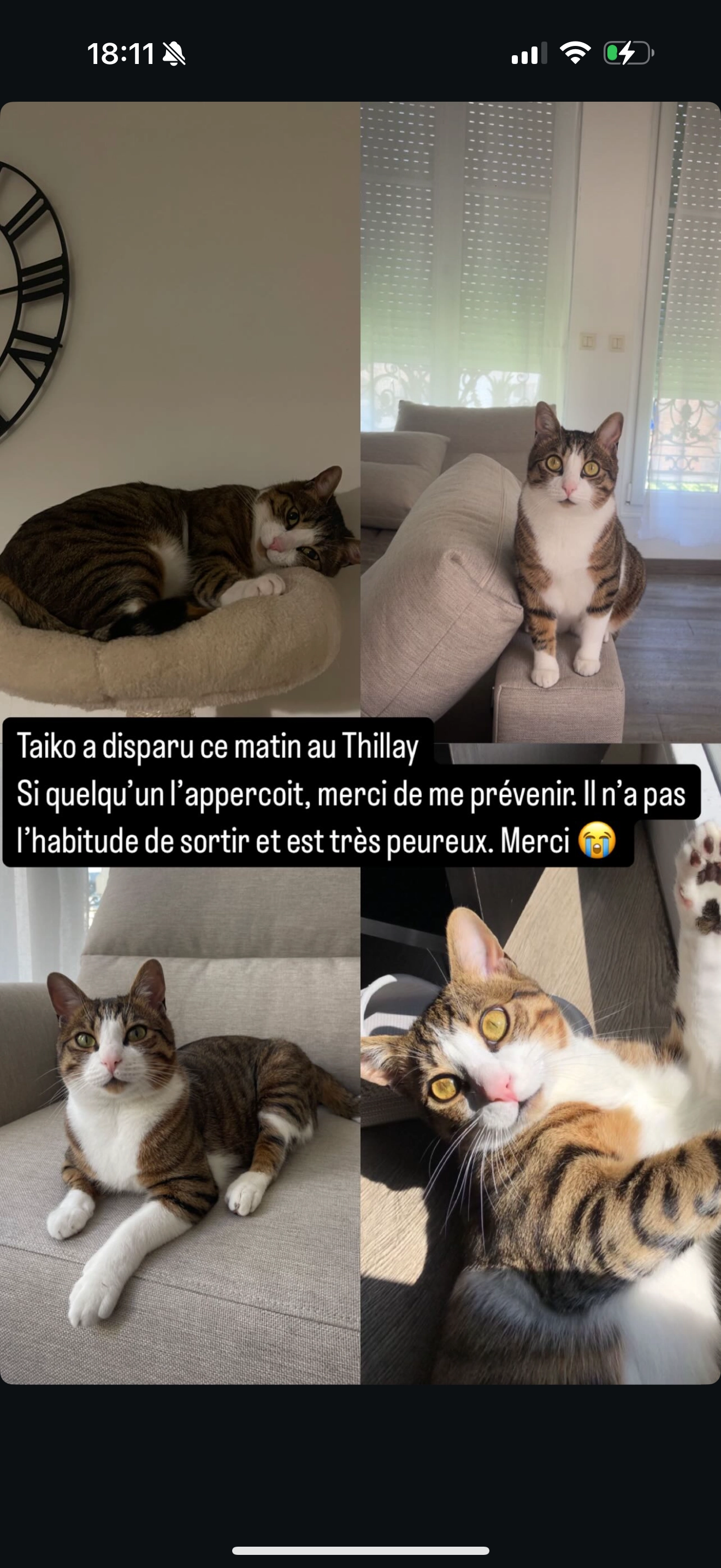 Taïko - Avenue des Charmilles, Le Thillay