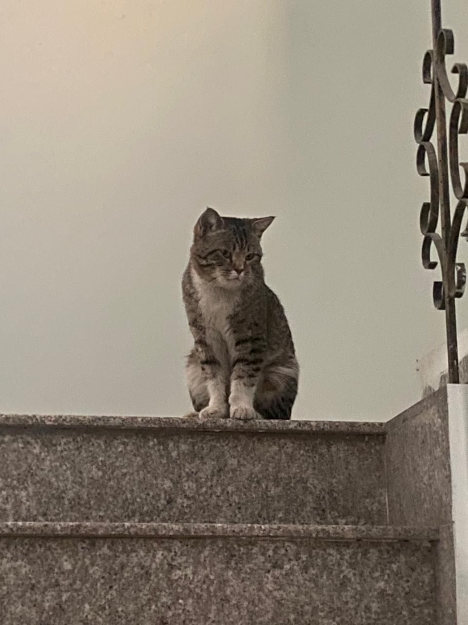 Casper - Gasse, Oberzent