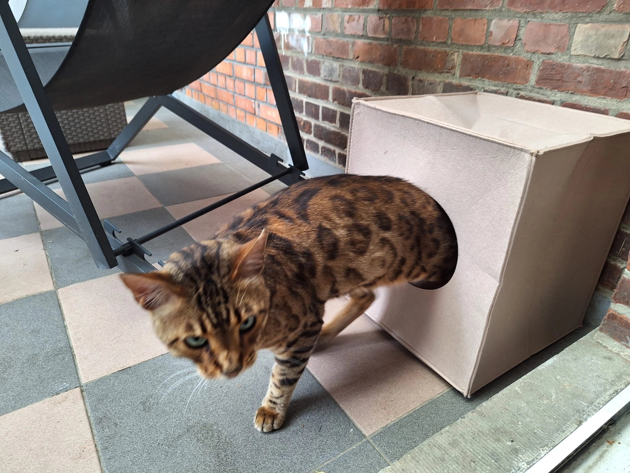 Tiago - Slotlaan, Sint-Lambrechts-Woluwe