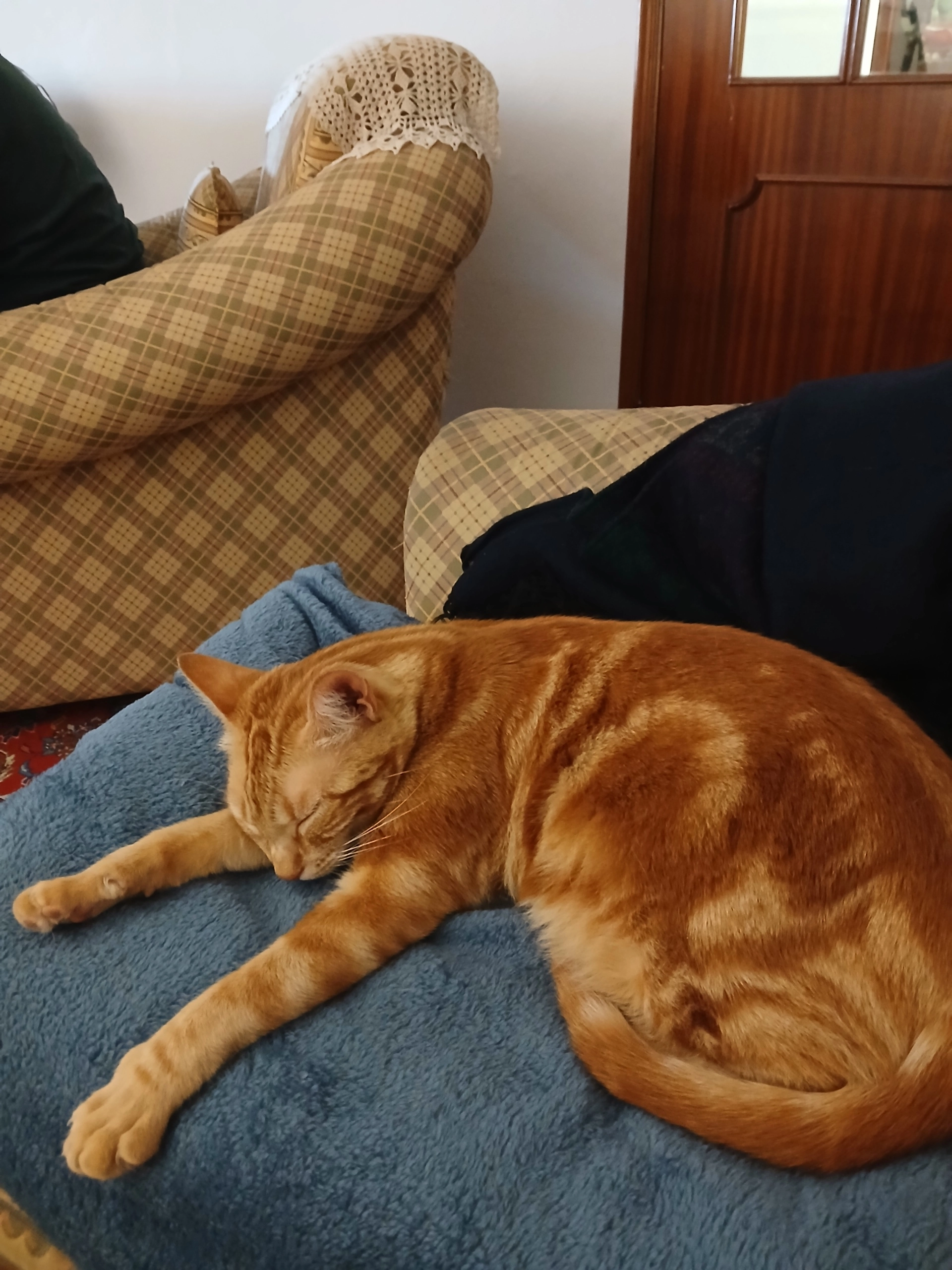 Ginger - Rua das Amendoeiras 142, Portimão