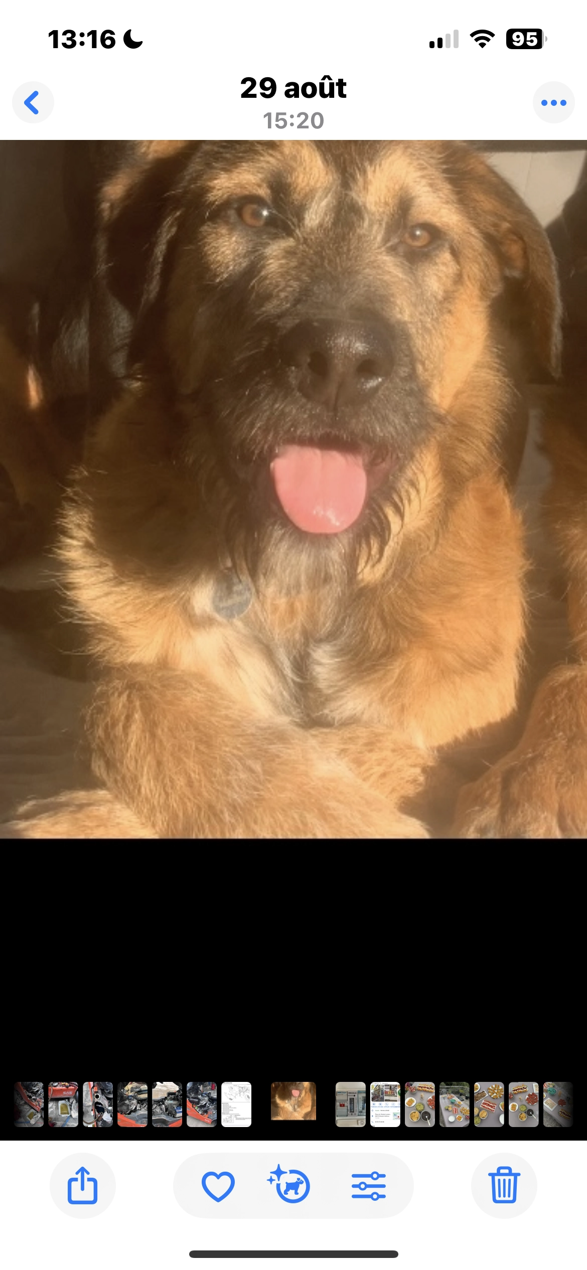 Raphy - 109 Boulevard Pasteur, Grasse