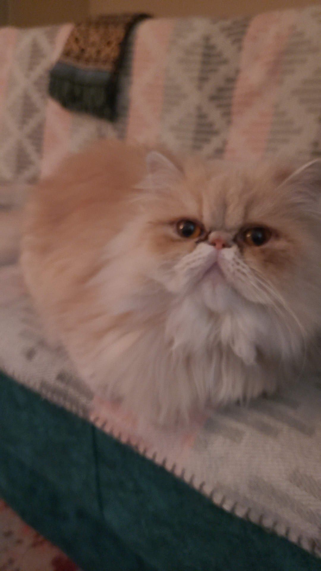 Balim - Tabya Caddesi, Istanbul