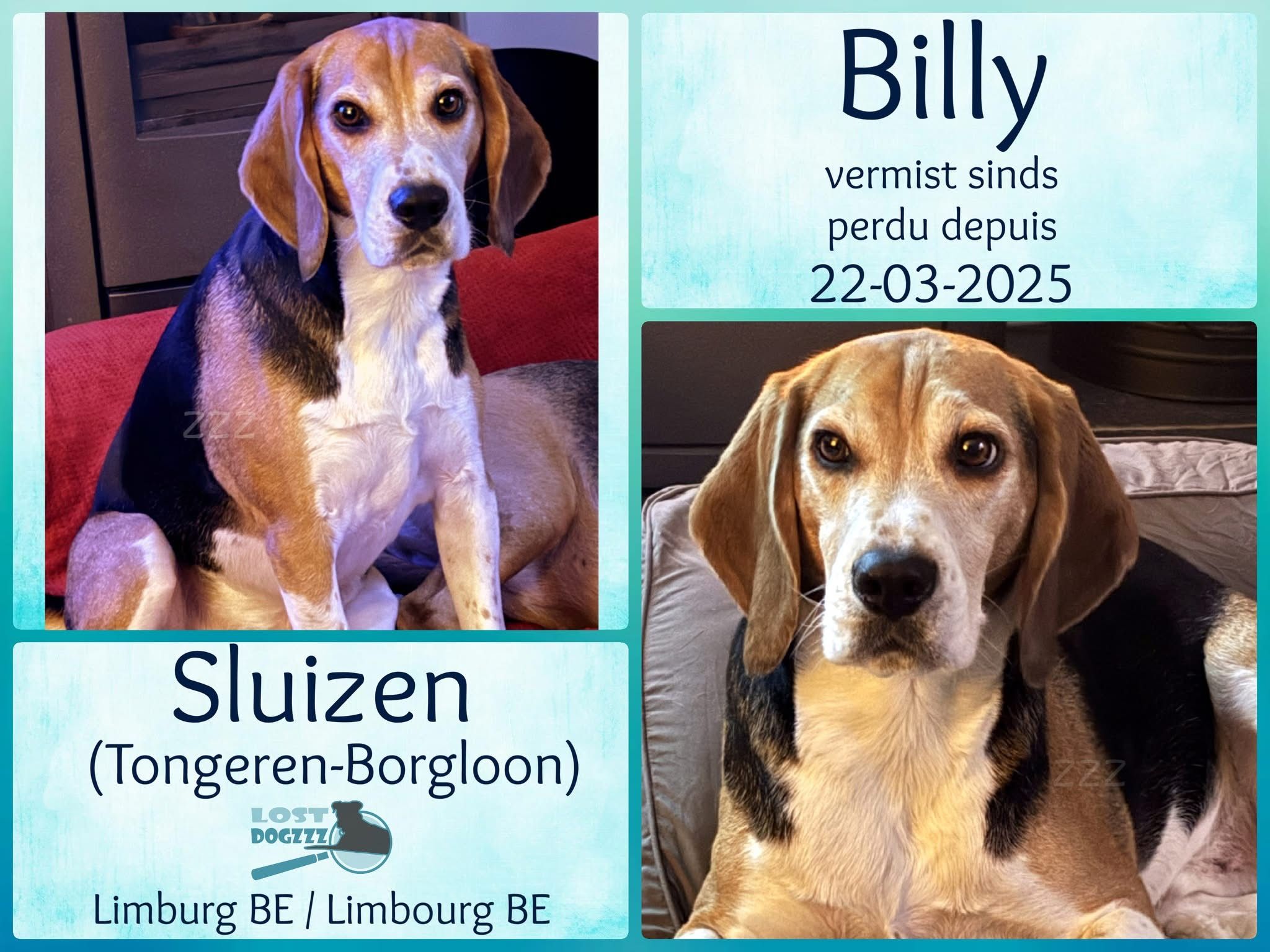 Billy - Sluizen, Nieuwpoort