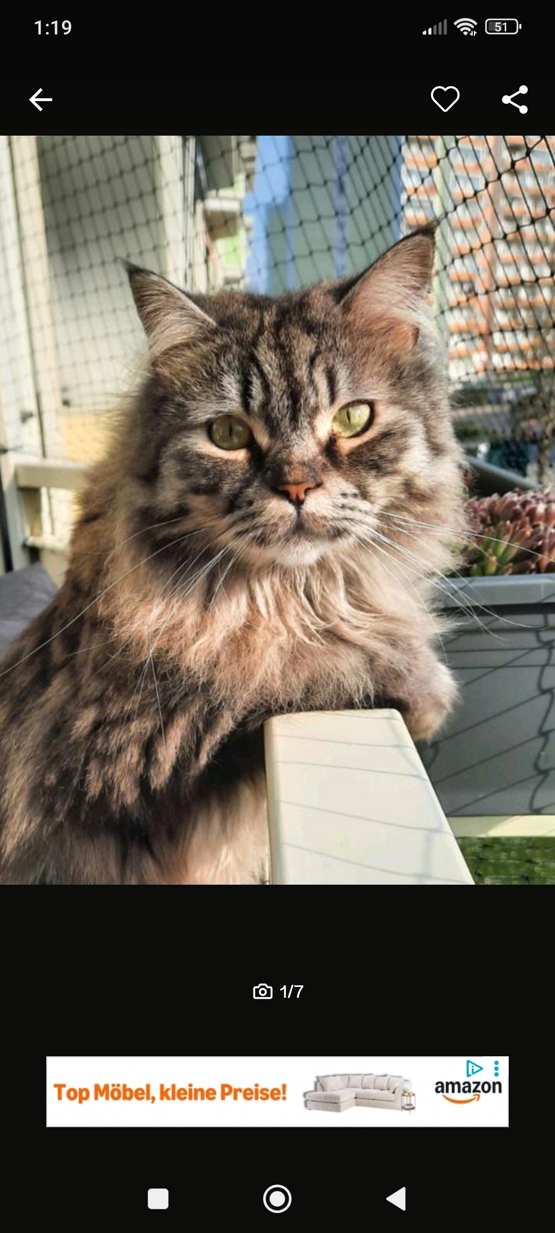 Simba - Karl-Günzel-Straße, Freiberg