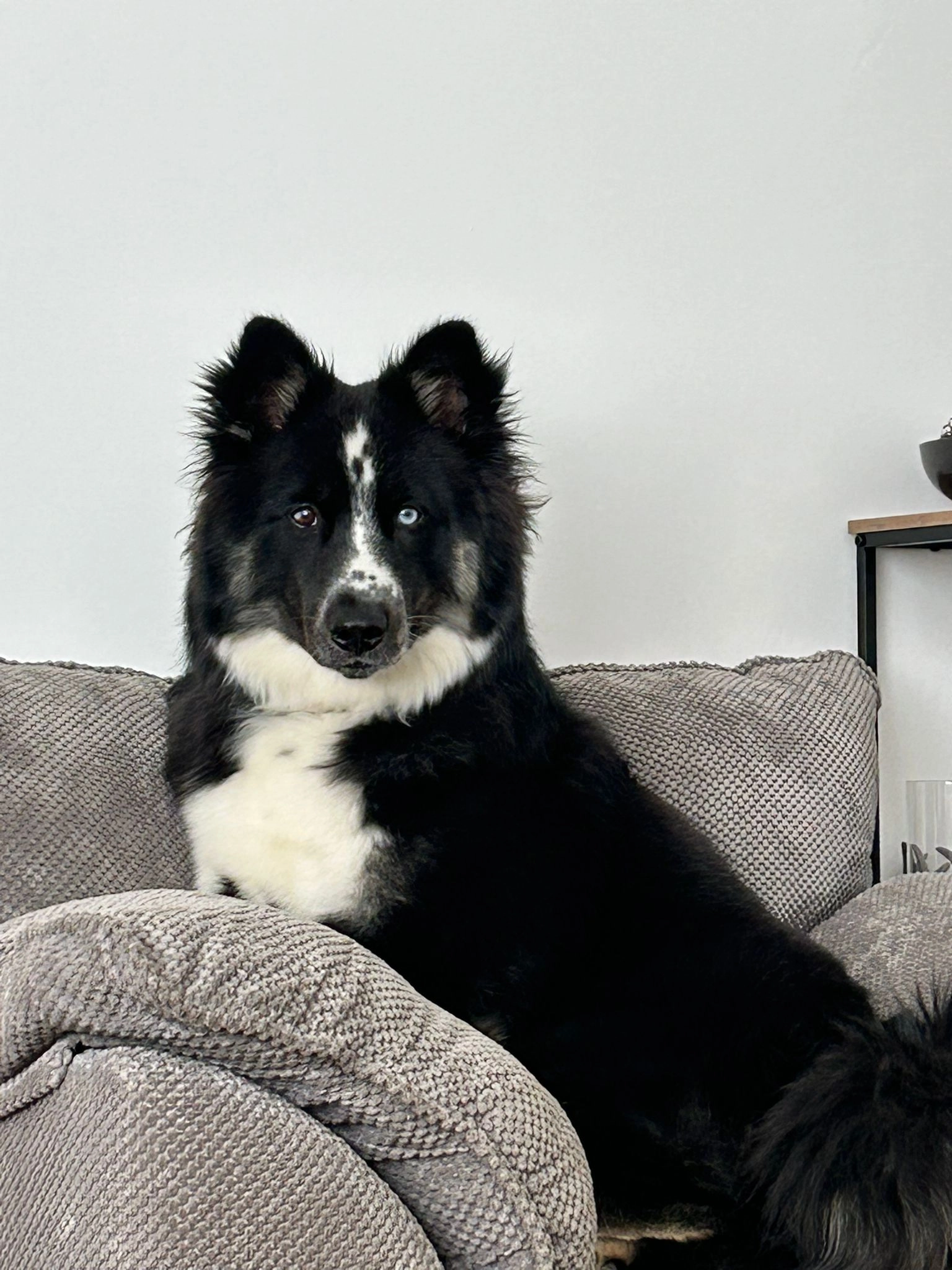 Zeus - St. Andrews Street, Nottingham