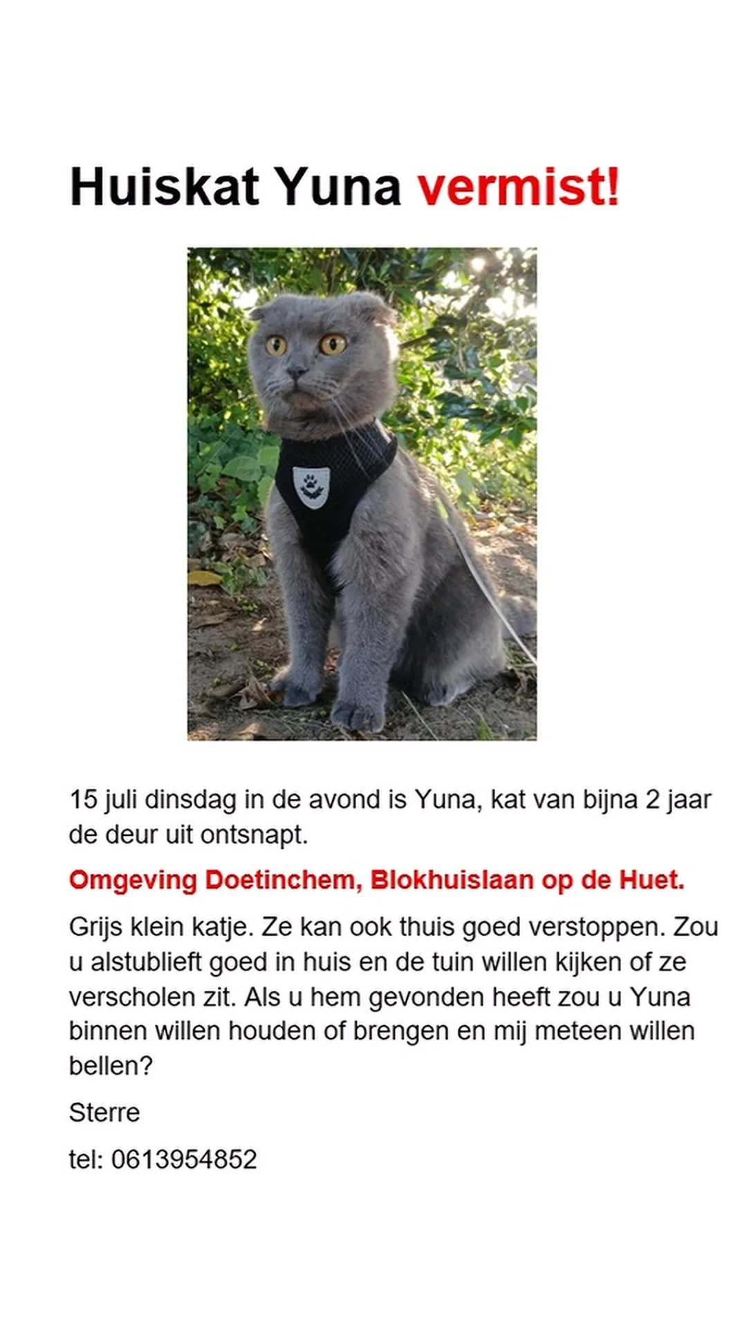 Yuna - Blokhuislaan, Doetinchem