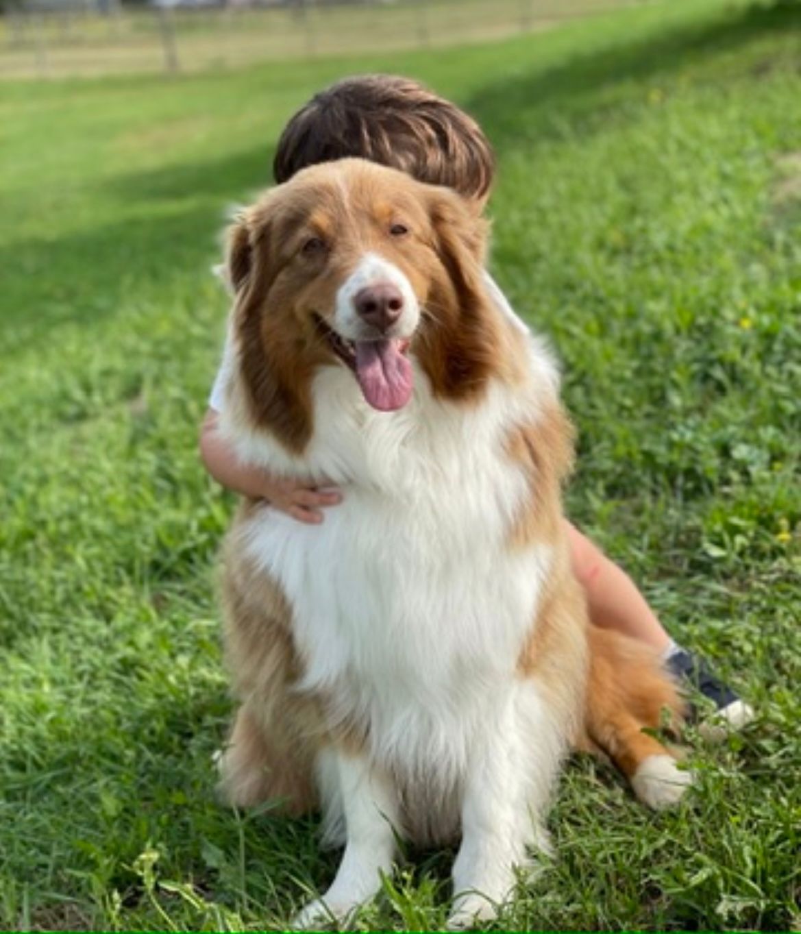 Ouinnie - 2921 Route de la Noë, Morannes-sur-Sarthe-Daumeray