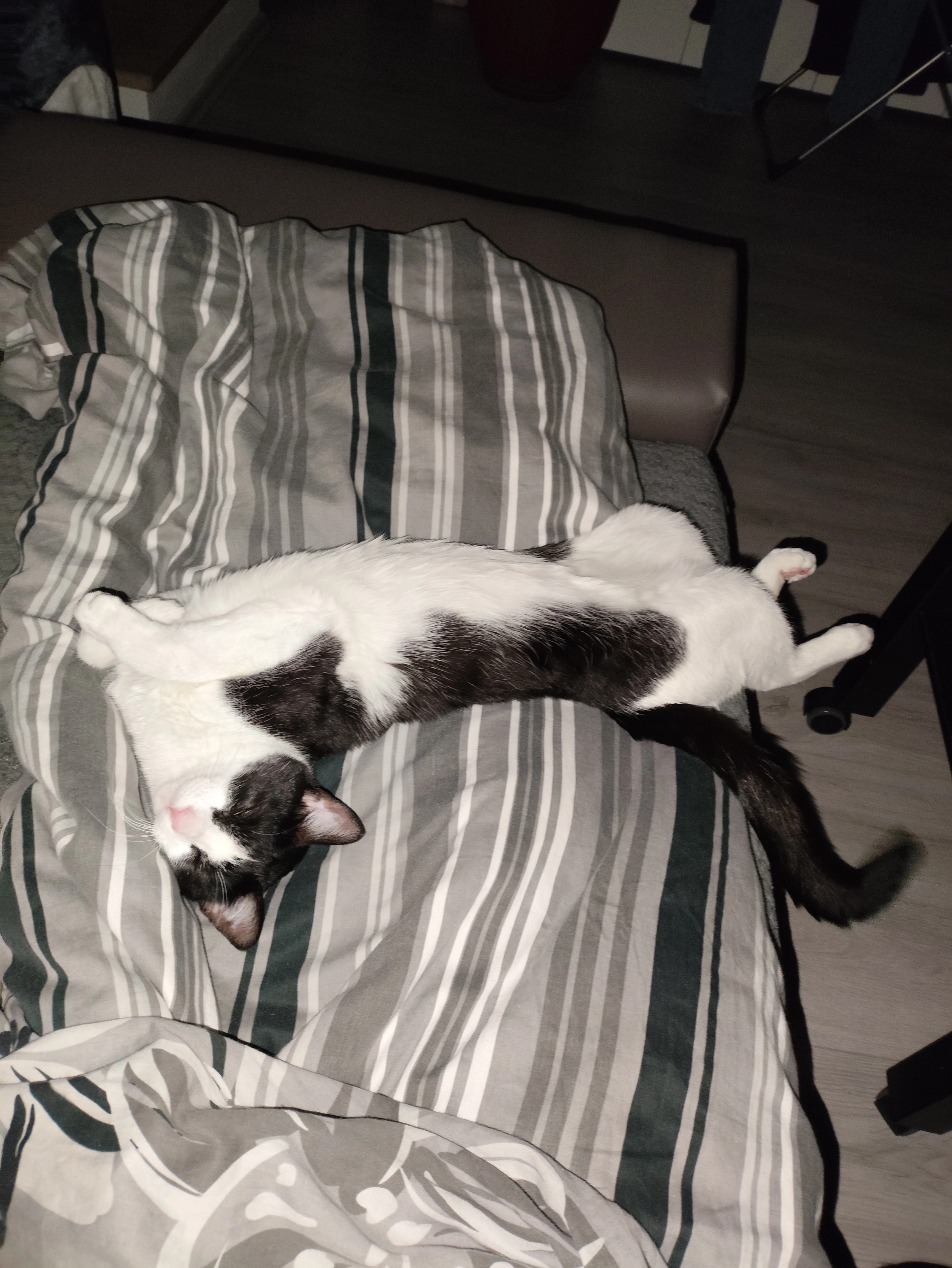 Black - Bredde, Wuppertal