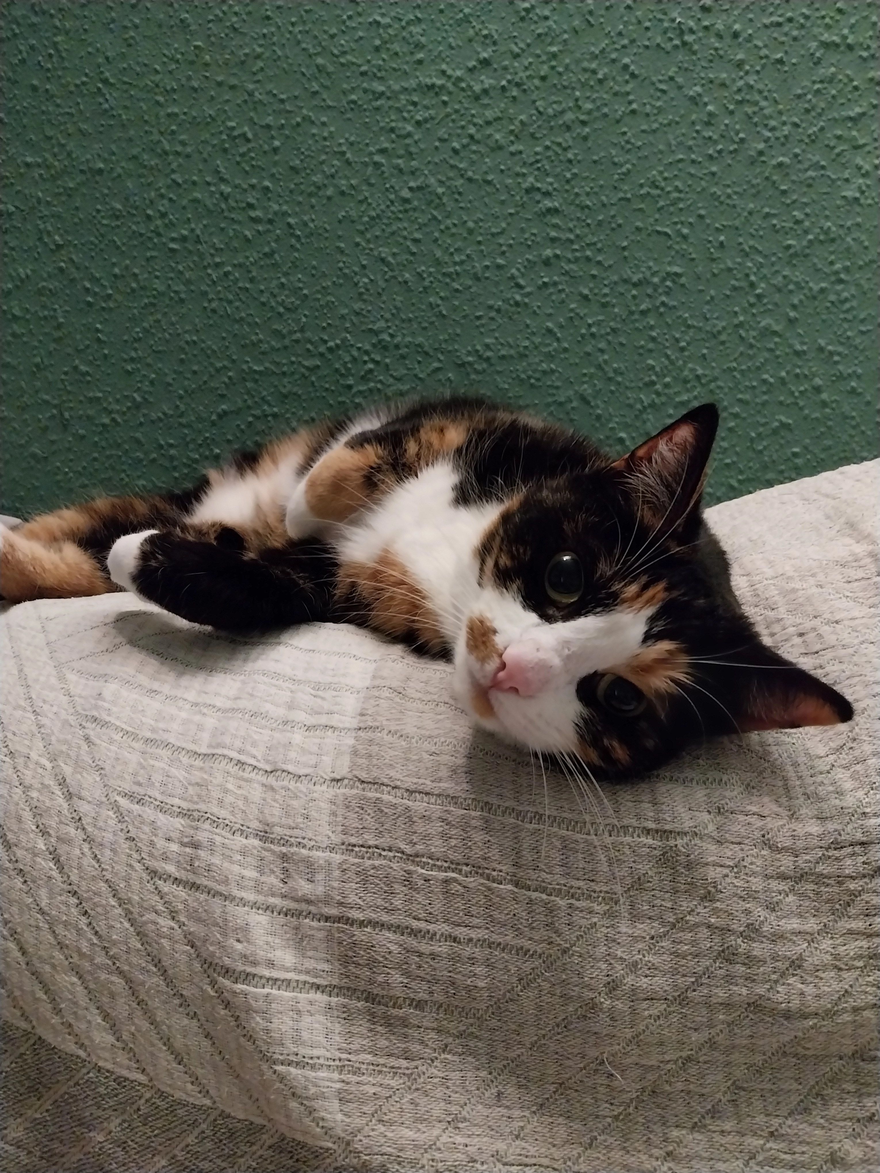 Fiona - Grüner Weg, Bad Oeynhausen