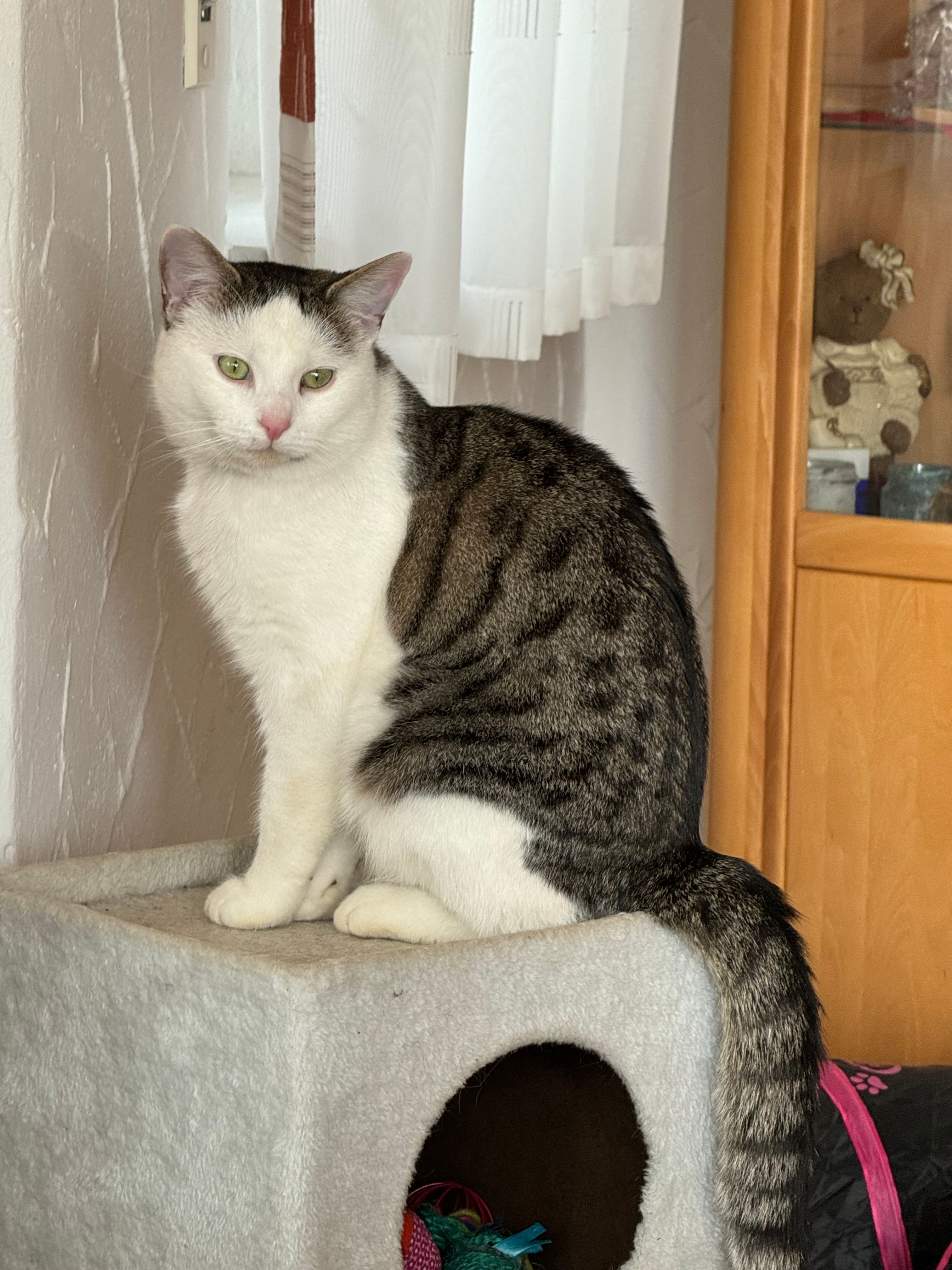 Wolfi - Johann-Sebastian-Bach-Straße, Arzberg