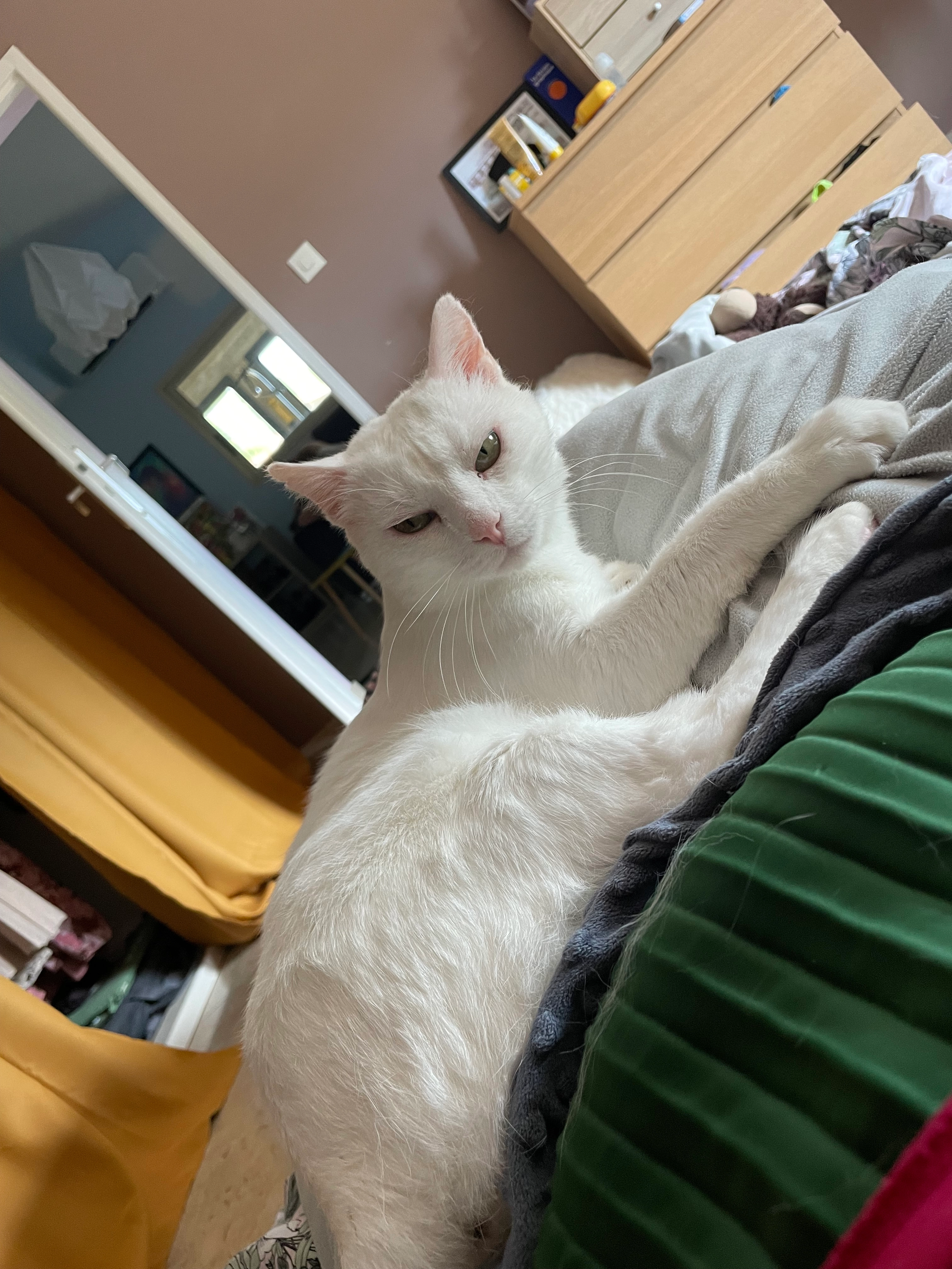 Kumo - 54 Rue Reine Clotilde, Ambérieu-en-Bugey