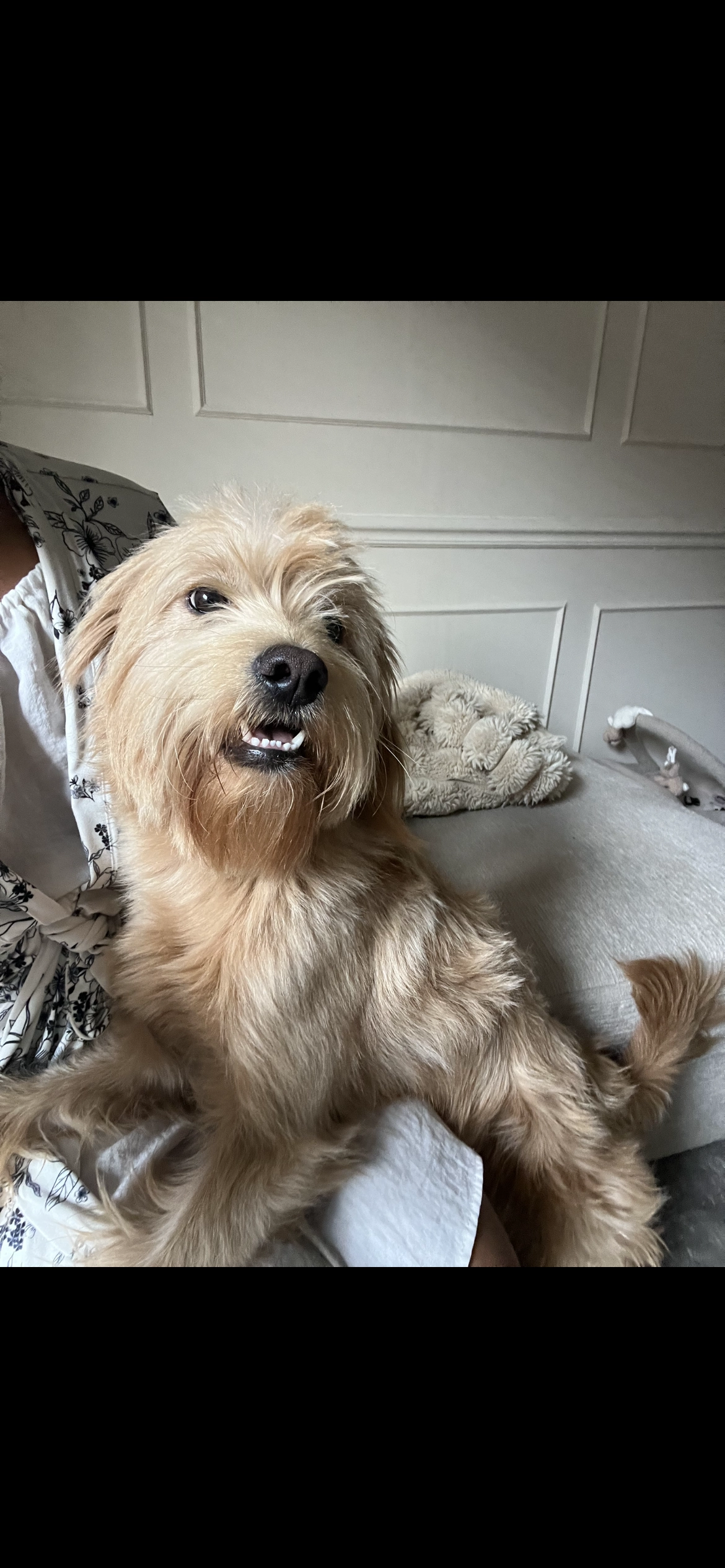 Louis - Voordijk, Barendrecht