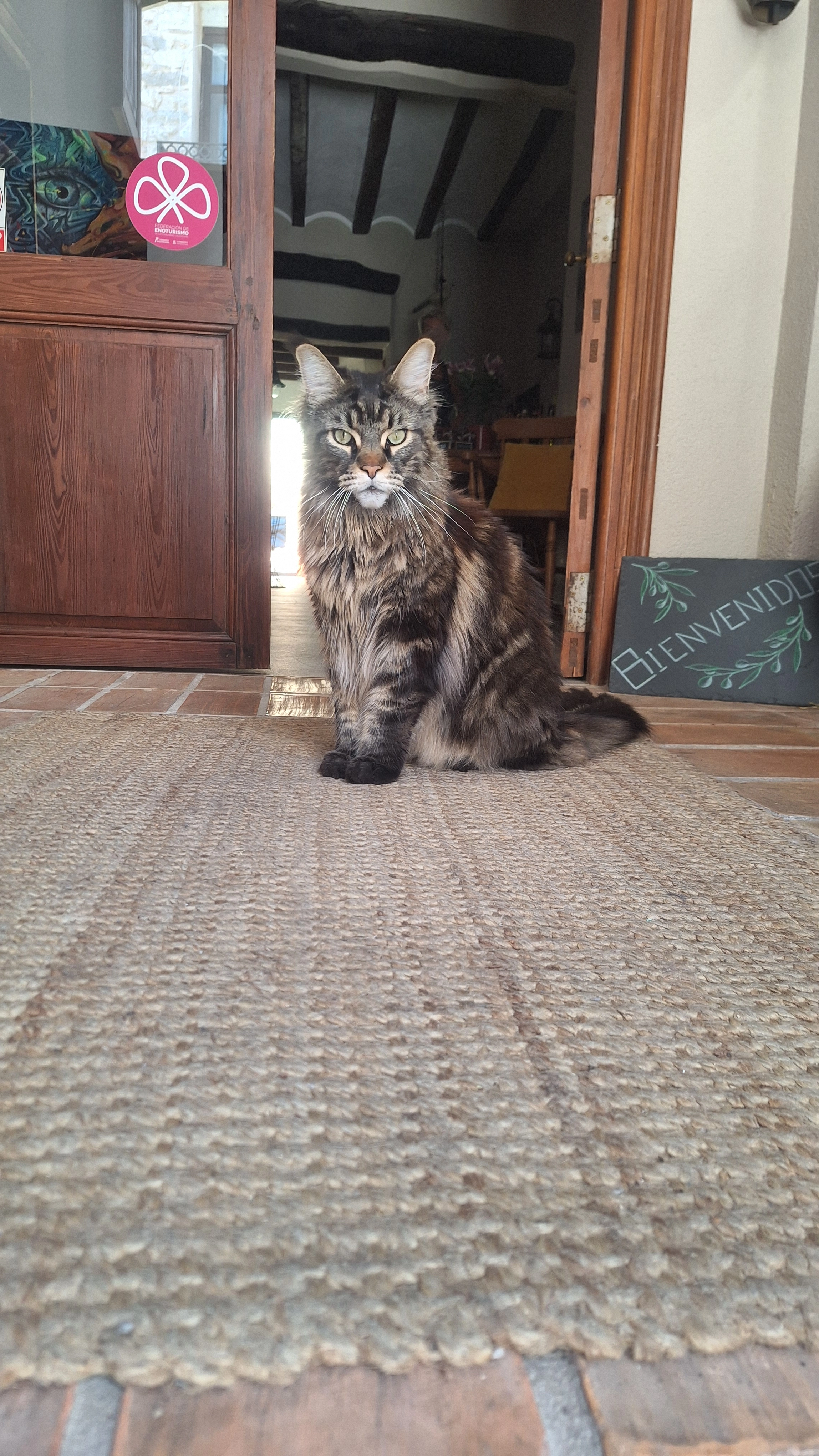 Bowey - Carrer Llarg casa les Olives, Benigembla