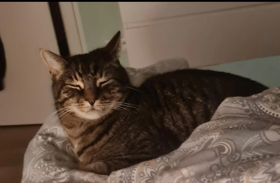 Charlie - Im Sonnenschein, Velbert