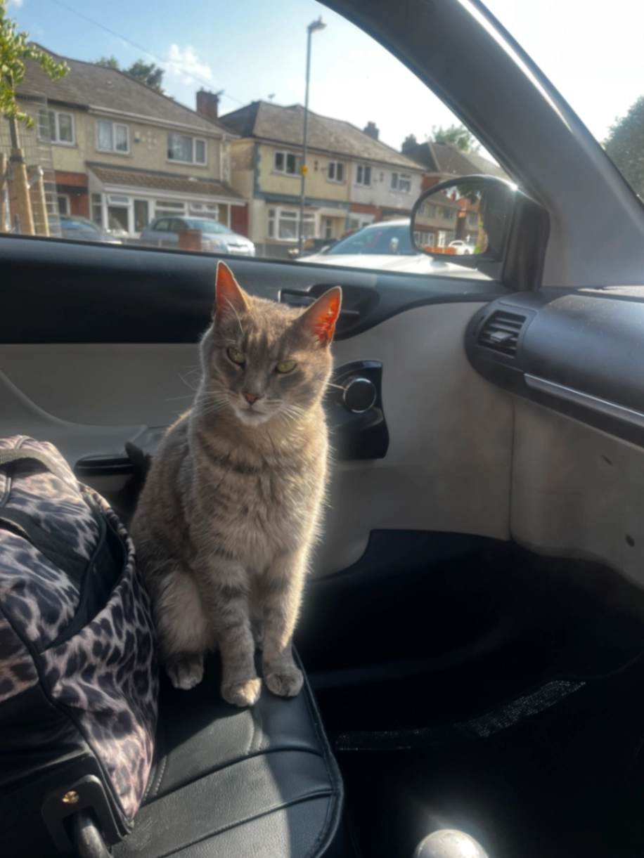 Chanel - Linton Walk, Birmingham