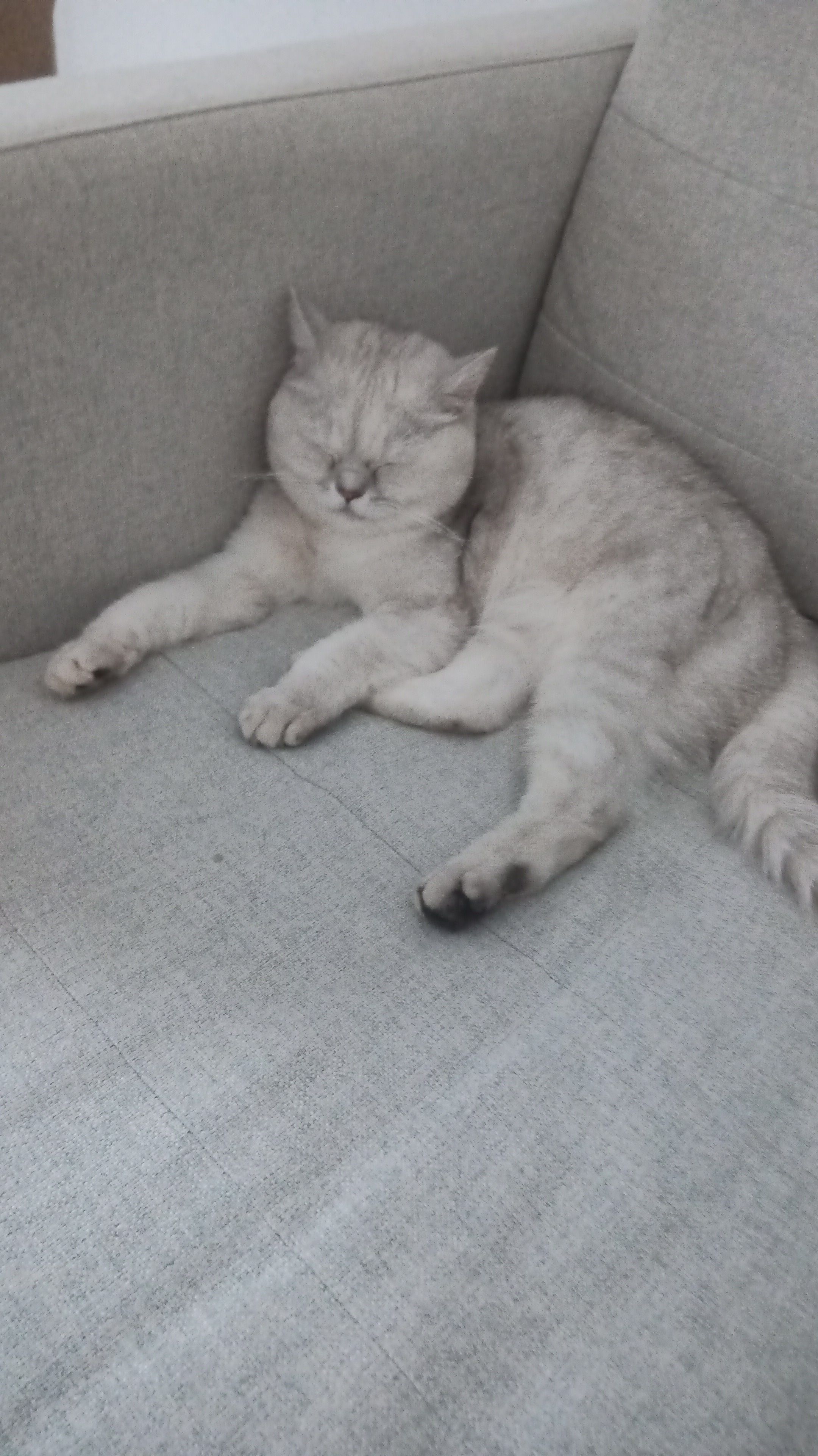 Piril - Fachinger Straße, Berlin