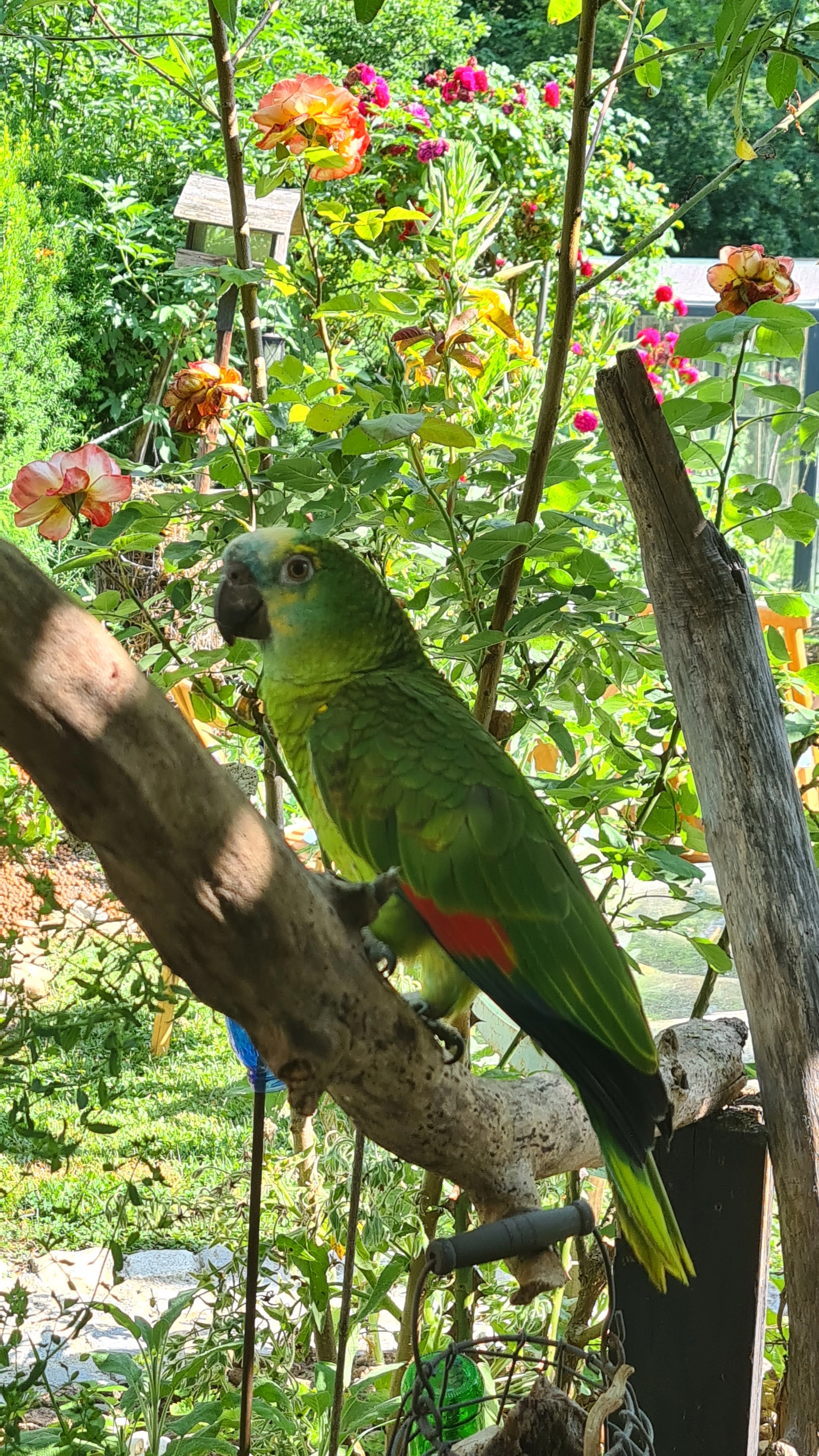 Skaya - Drauchenbachweg, Bad Radkersburg