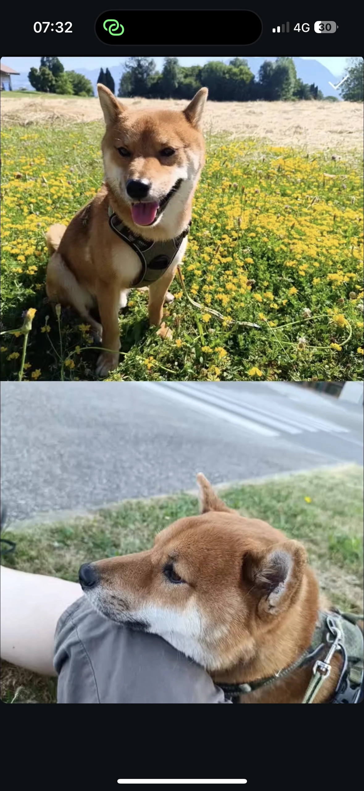 Otis - Chemin De L'arve, Saint-Pierre-en-Faucigny