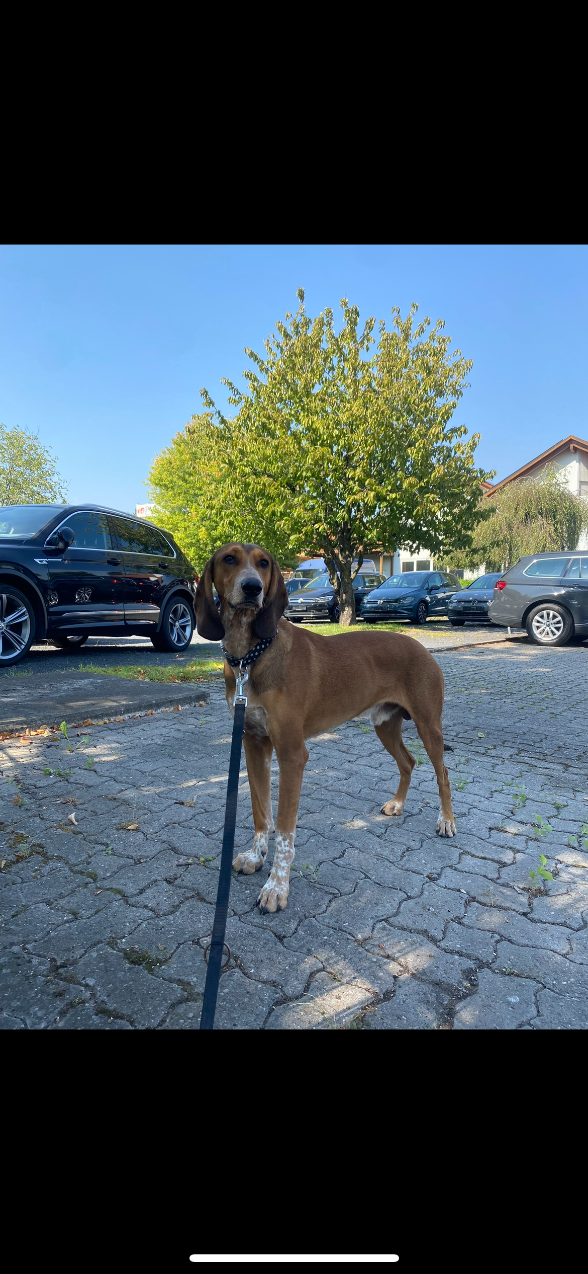 Pino - Azenbergaufgang, Stuttgart