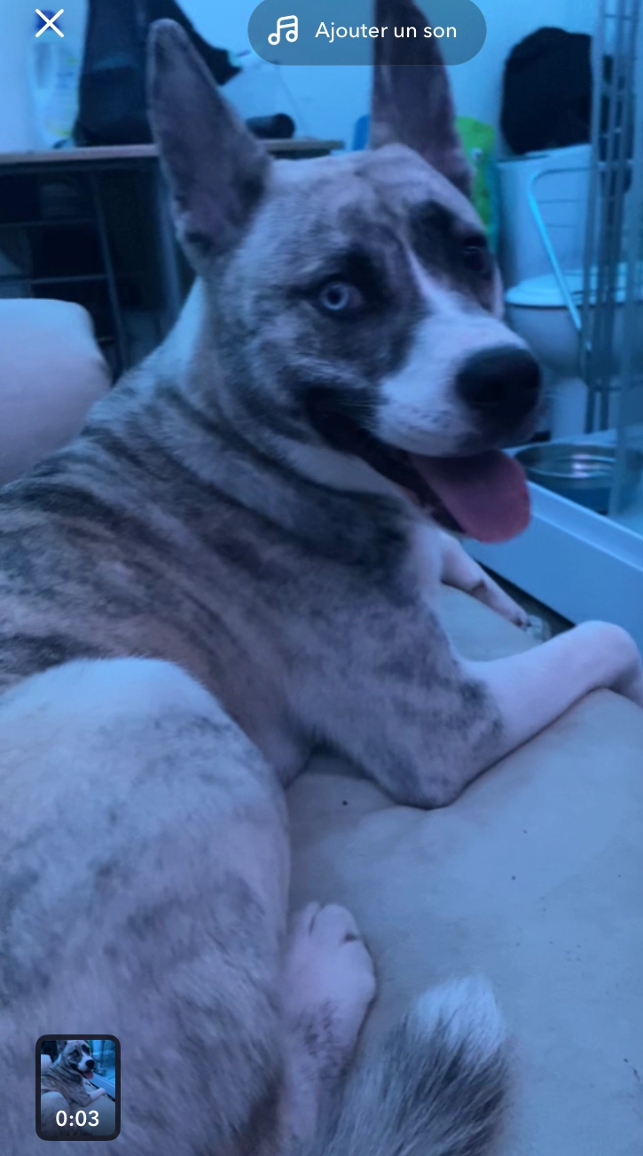 Élya  - D 117, Jouy-en-Josas