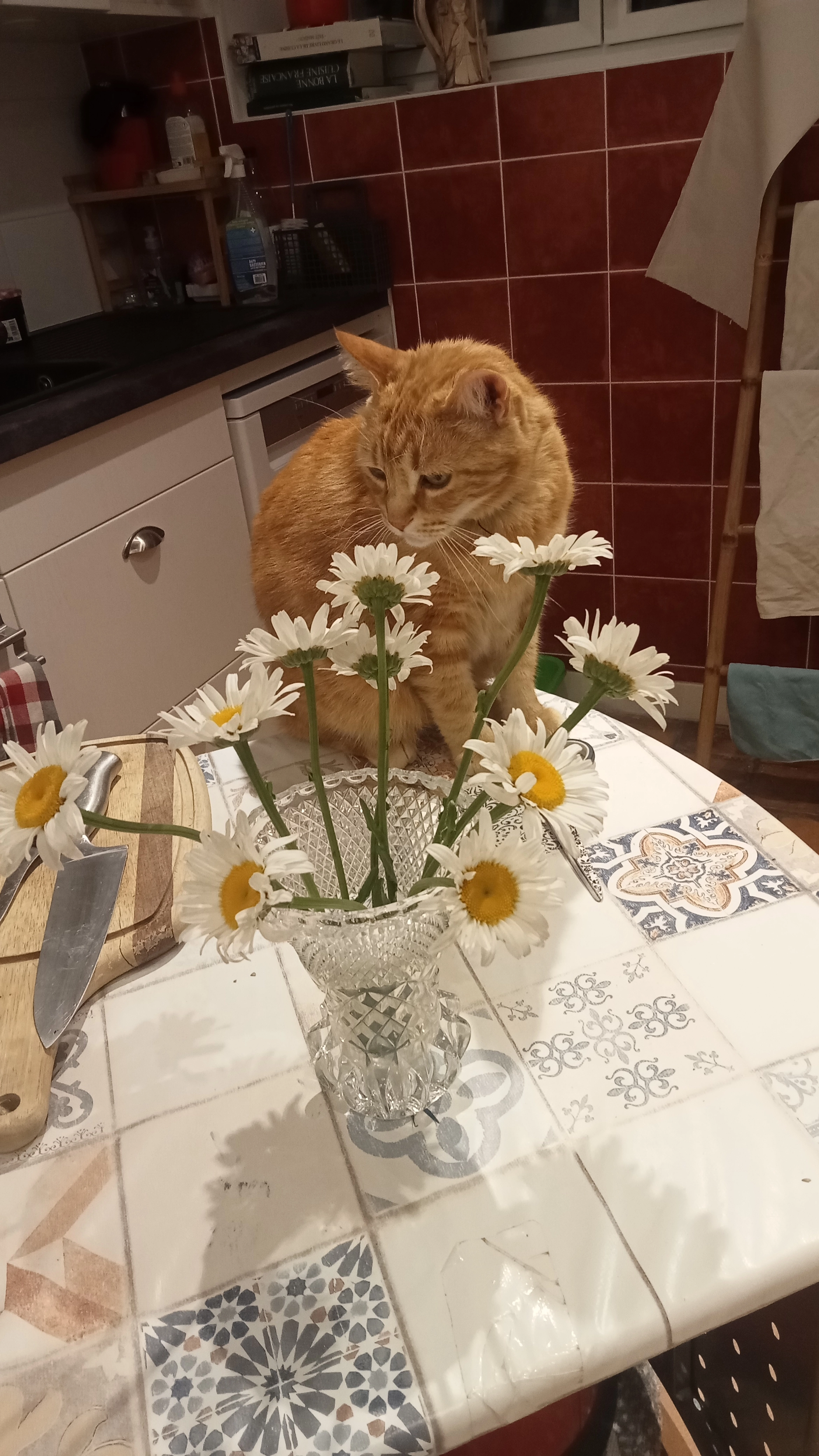 Rubio  - Route Des Folies Siffait, Le Cellier