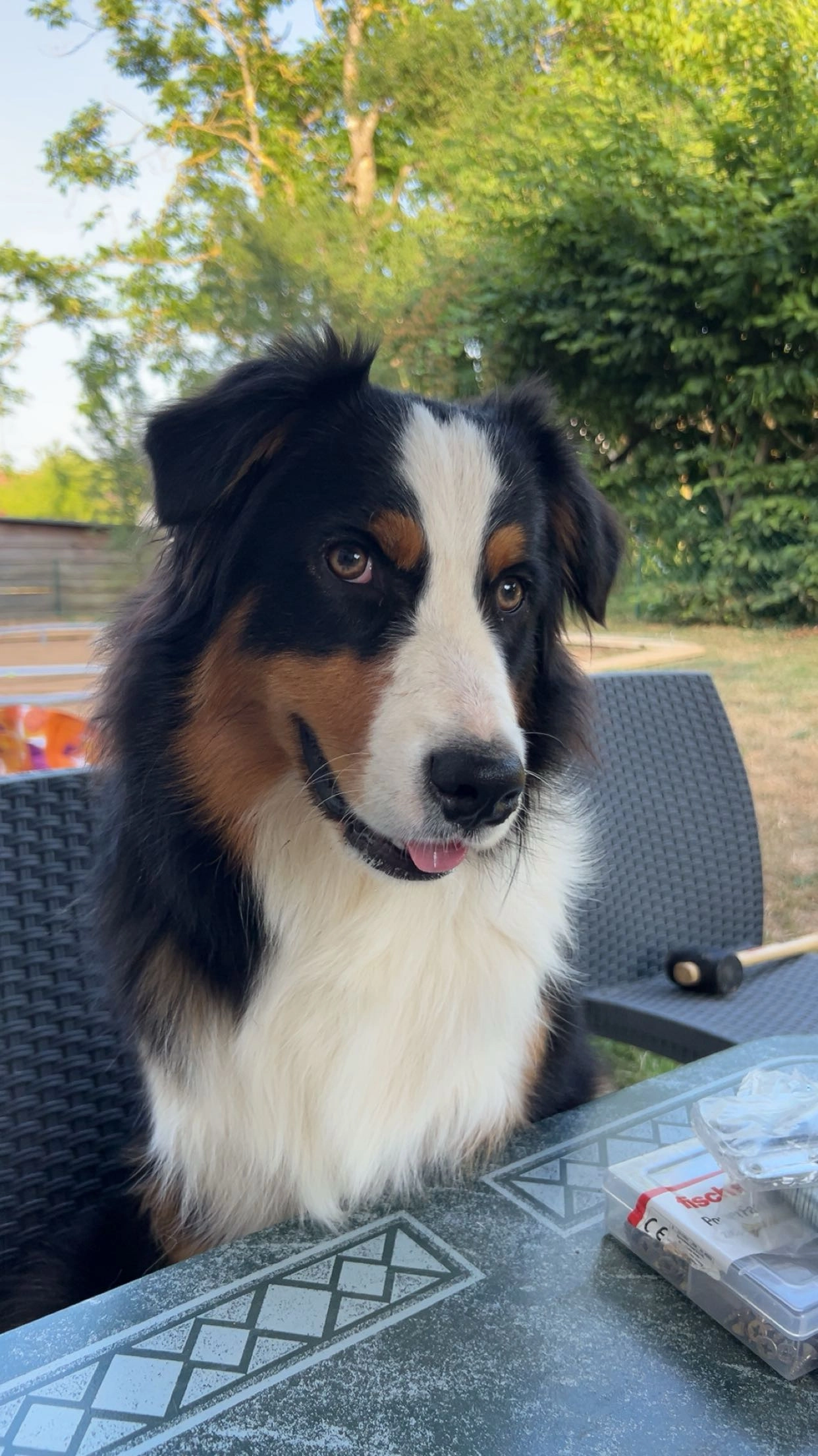 Valko - Cours Des Pommiers, Chaufour-Notre-Dame