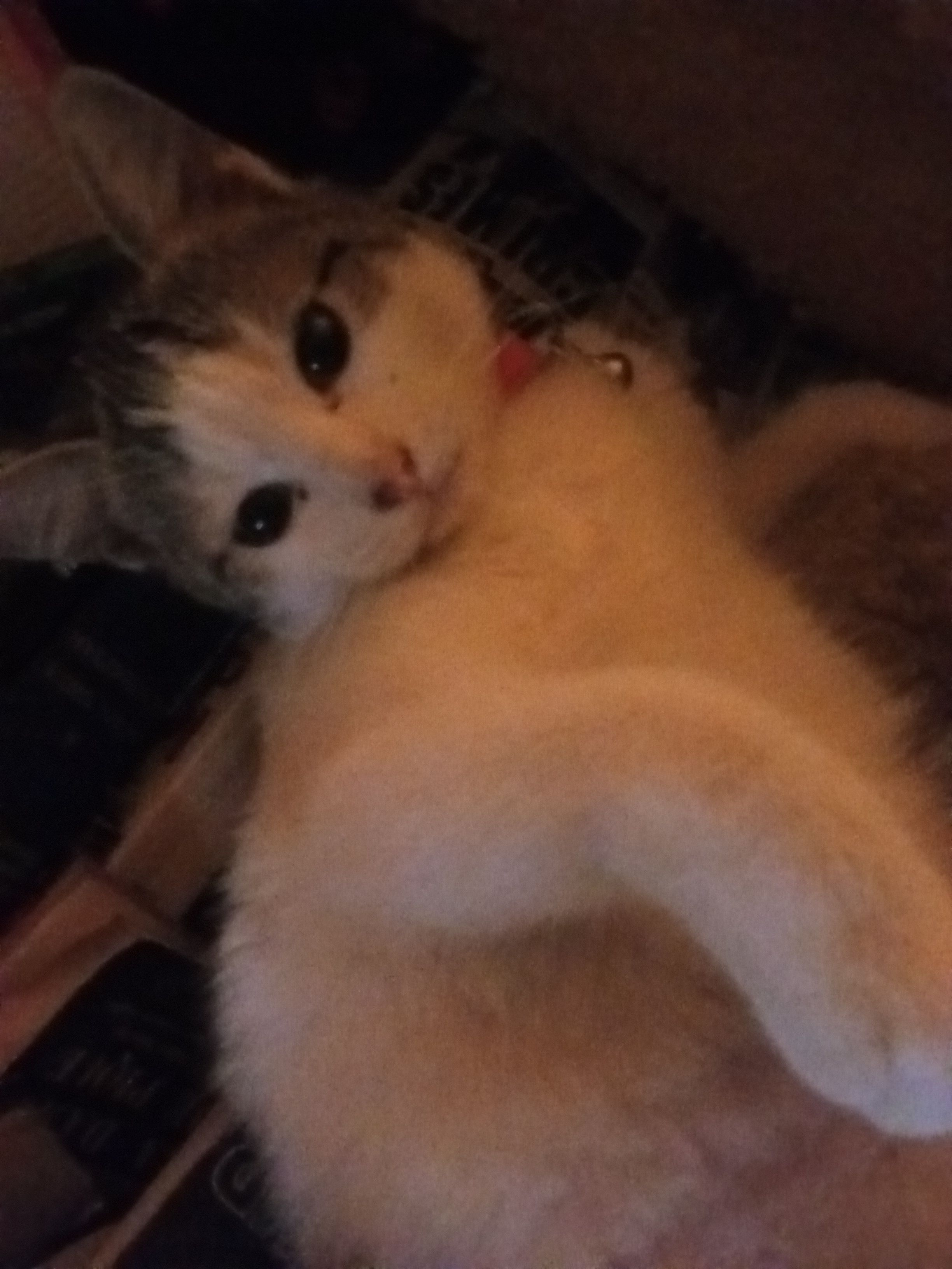 Bugzy - 1 Rue du Président Kruger, Châteauroux