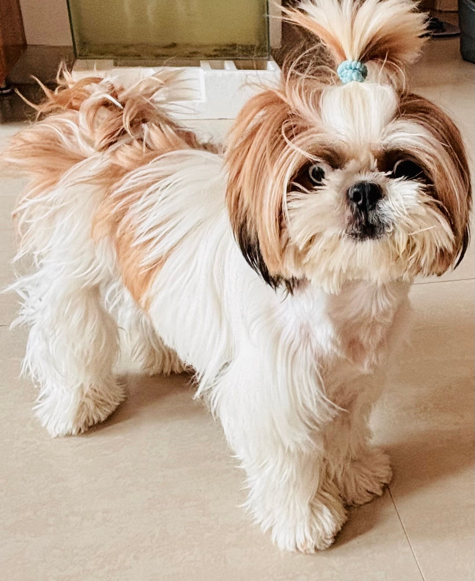 XXX - Hanuman Ghar Road, Nanded