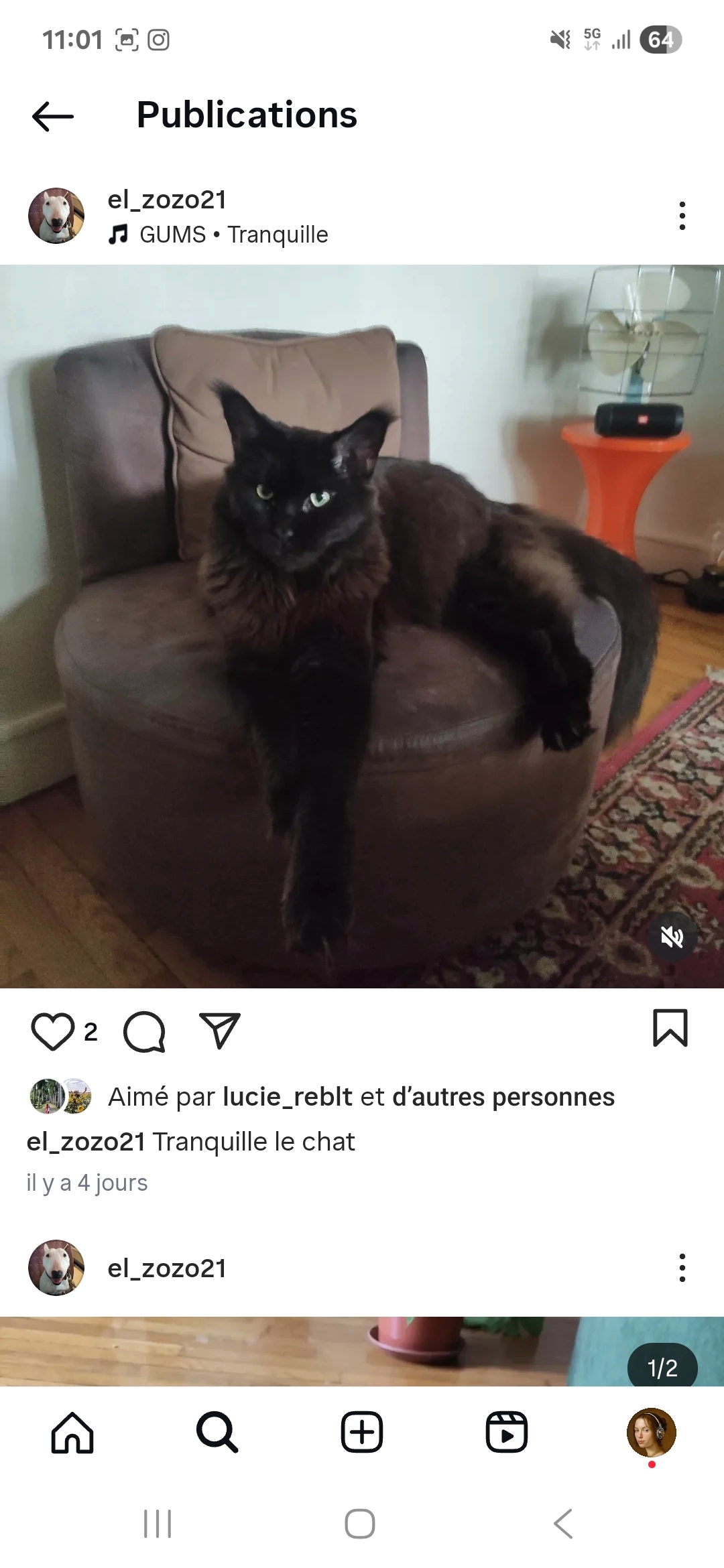 Châtaigne  - 7 Rue Berbisey, Dijon