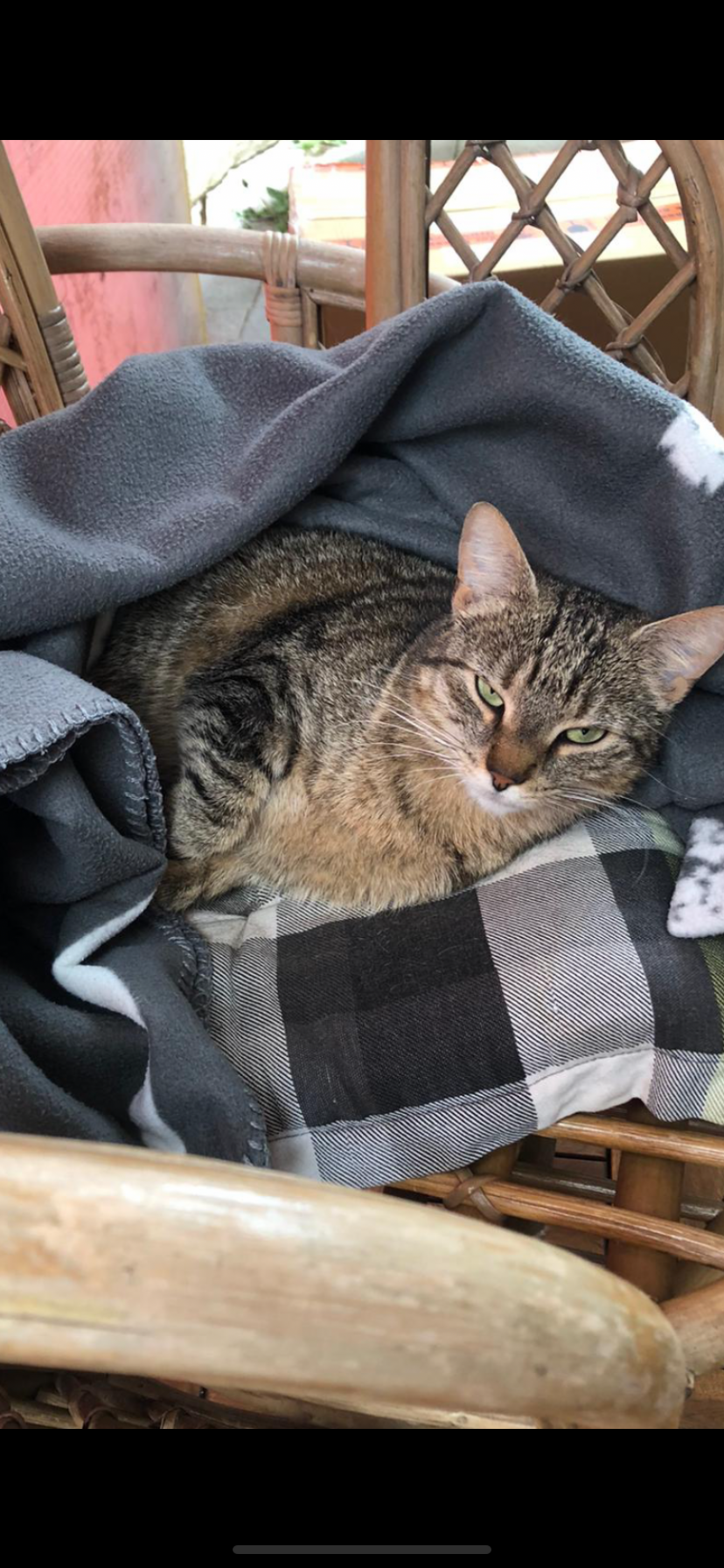 Micky - Baindter Straße, Baienfurt