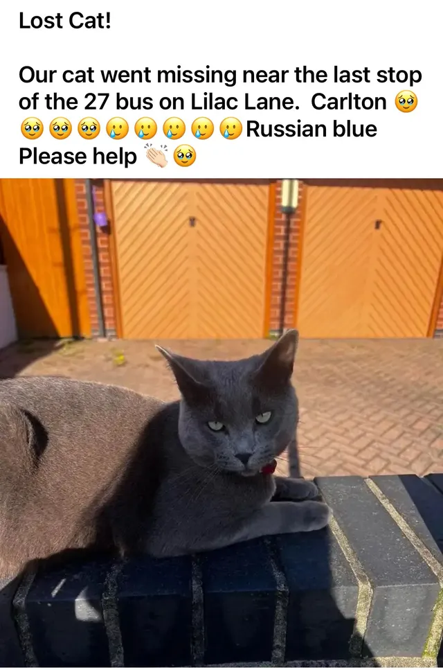Simba - Coningswath Road, Nottingham