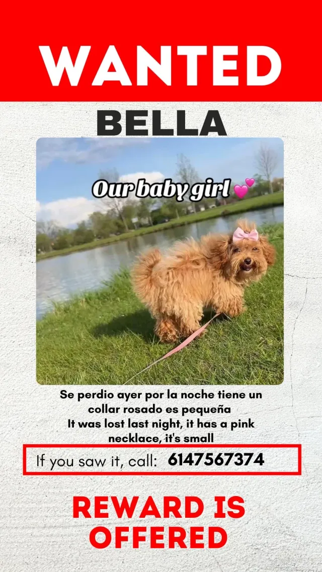 Bella  - 2310 Forest Creek Circle Dr, Columbus