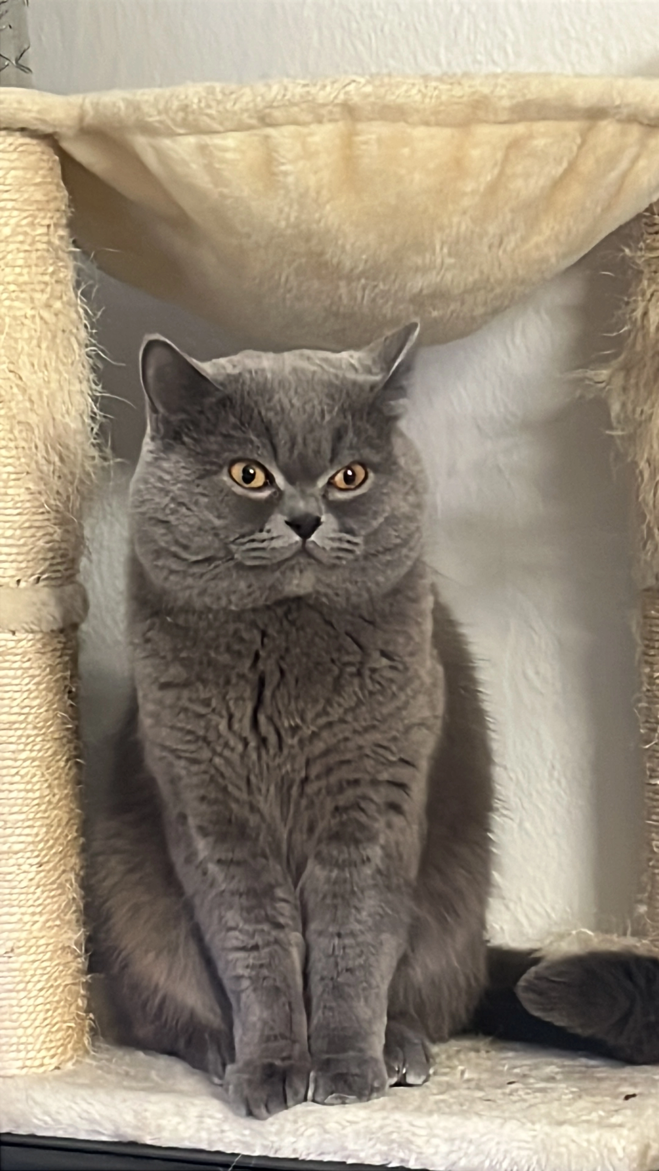 Tumu - Krainer Straße, Dortmund