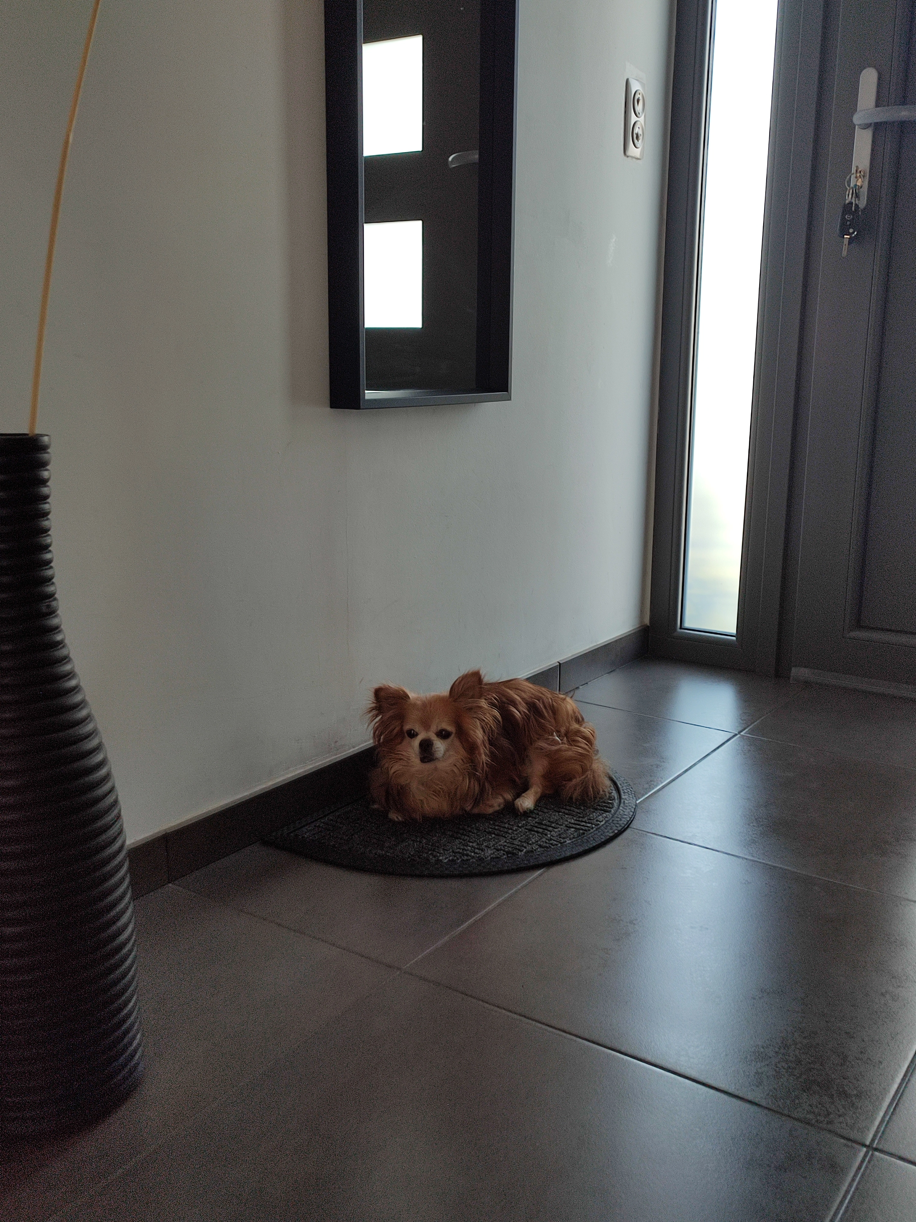 Mokka - Rue ès Fays 23, Namur