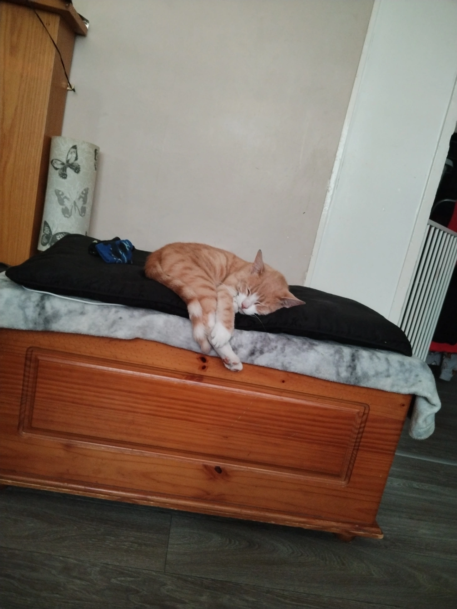 Garfield - Notte Street, Plymouth