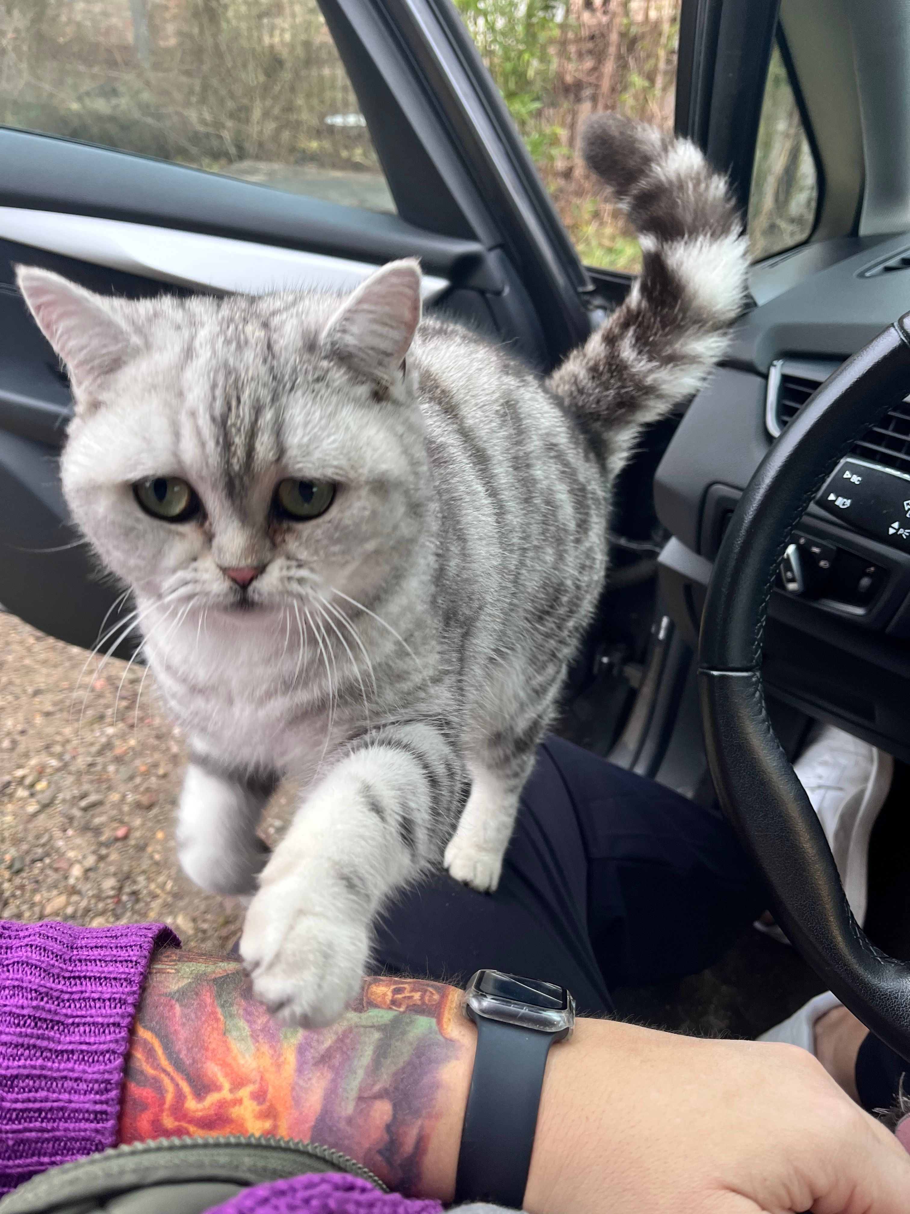 Flauschi - Bernöwer Dorfstraße 4, Oranienburg