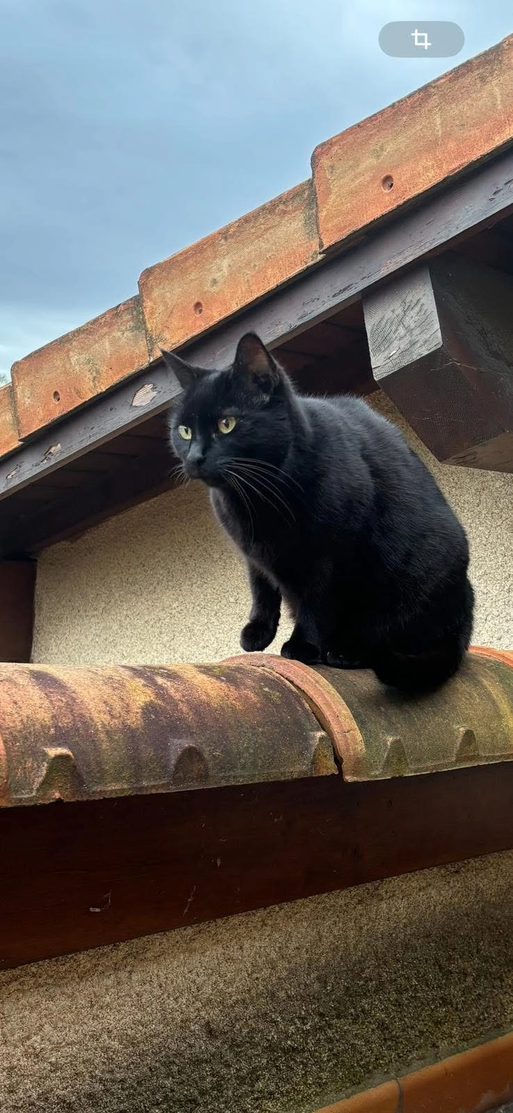 Java - 26 Allée Édouard Crumière, Valence