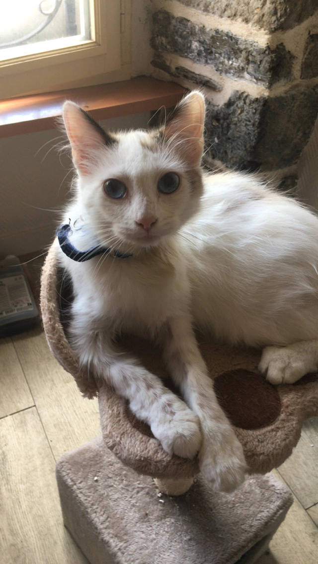 Belle - Place Charles De Gaulle, Morlaix