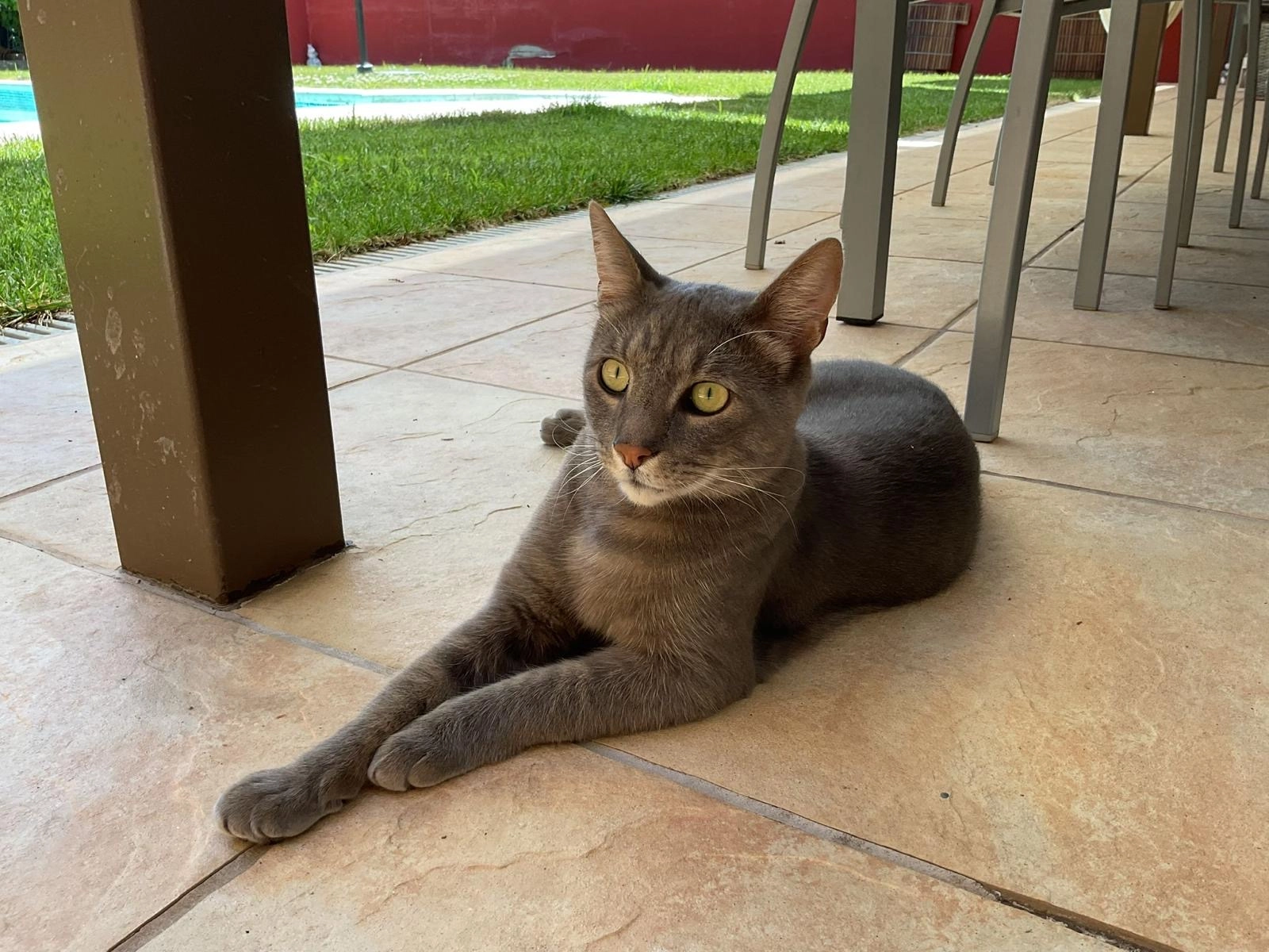 Bibo  - Calle de Don Miguel Arias 13, Don Benito