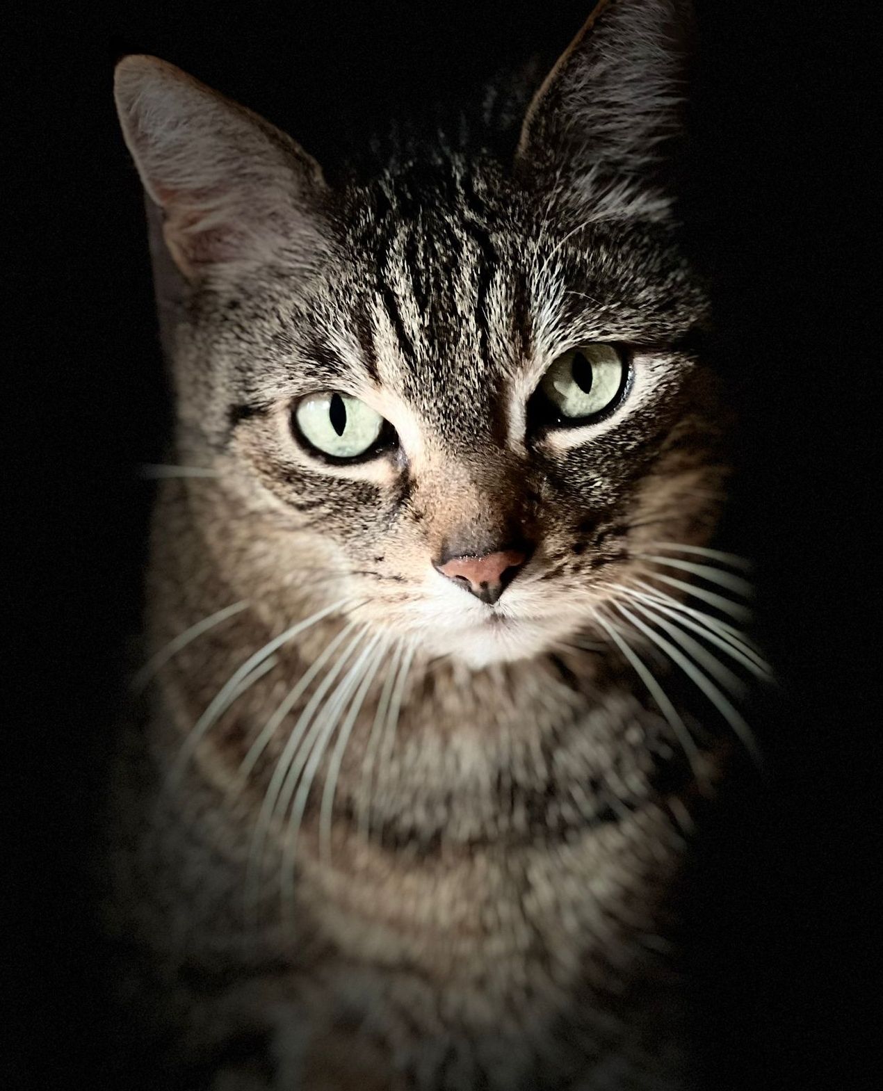 Spenni - Mühlenstraße, Nordharz