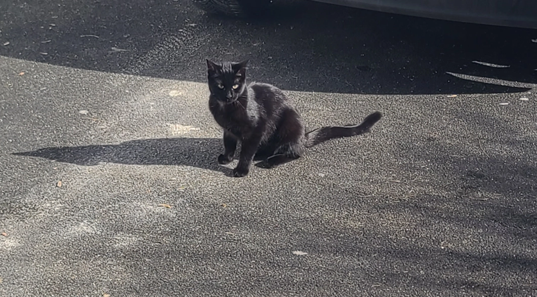 Lucky - 21 Route de Niort, Sansais