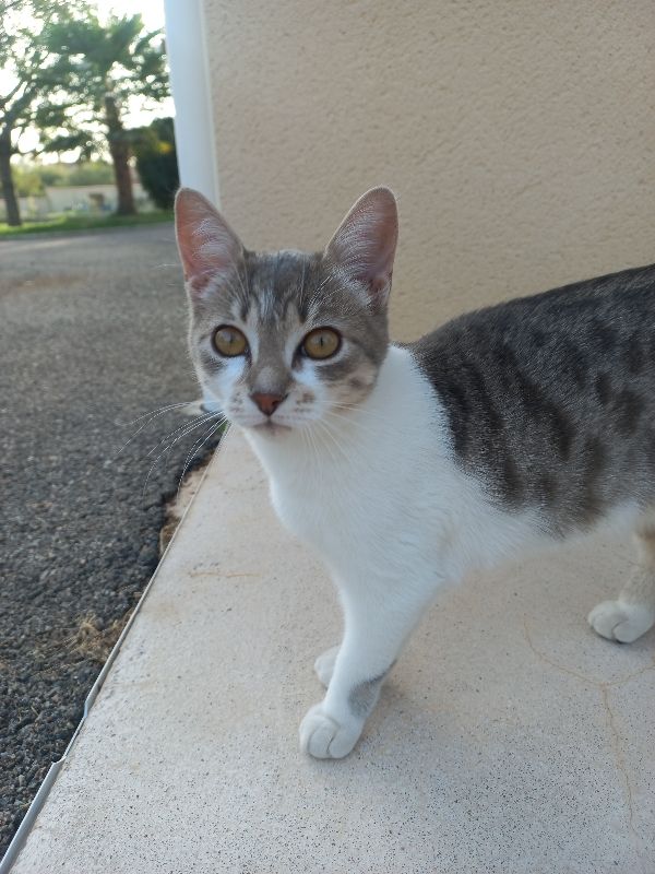 Iris - 1285 Route du Marvallin, Notre-Dame-de-Boisset