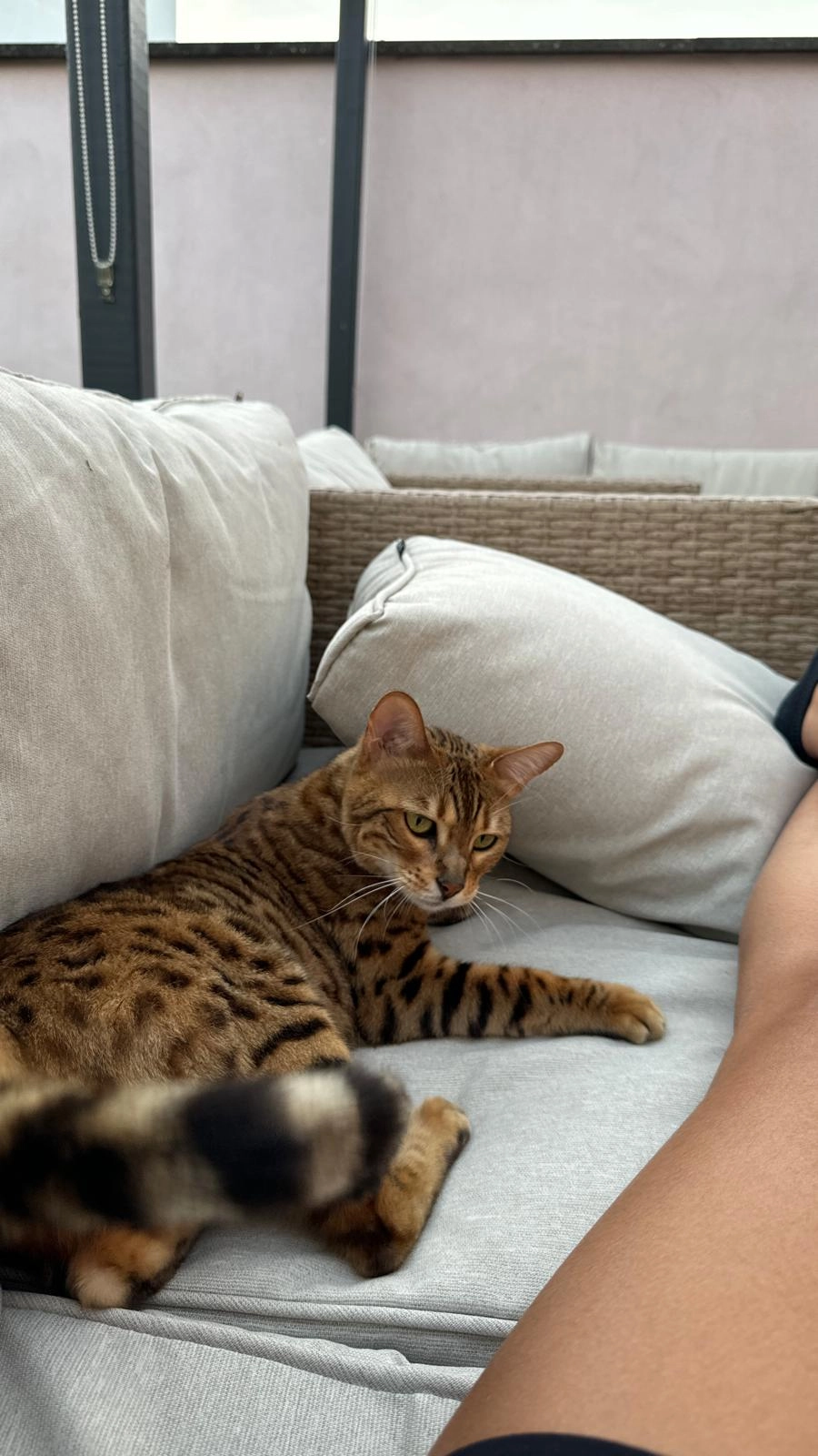 NALA - 12 Rue du Stade, Saint-Escobille