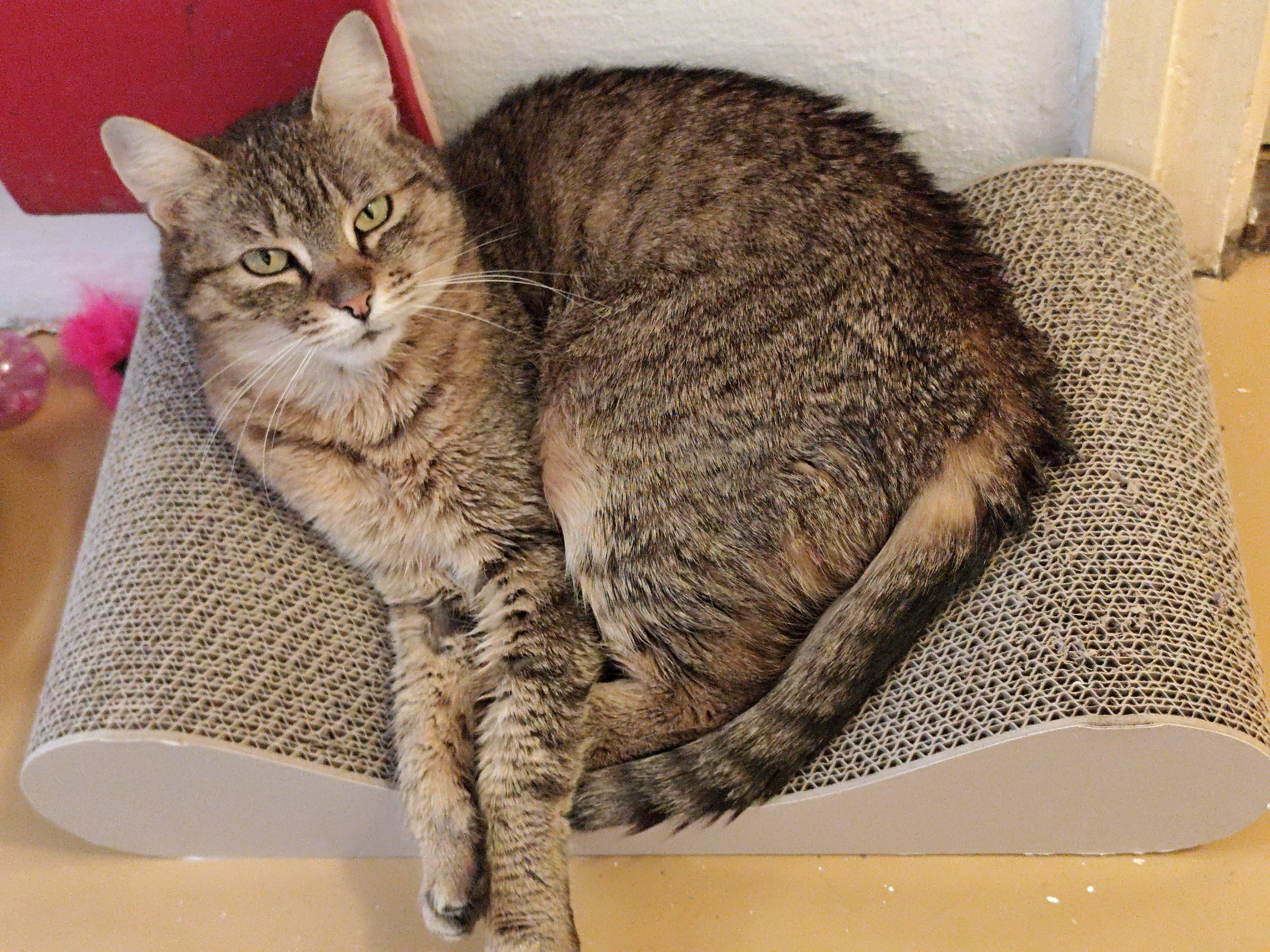 Mili - Süd Autobahn, Wernberg