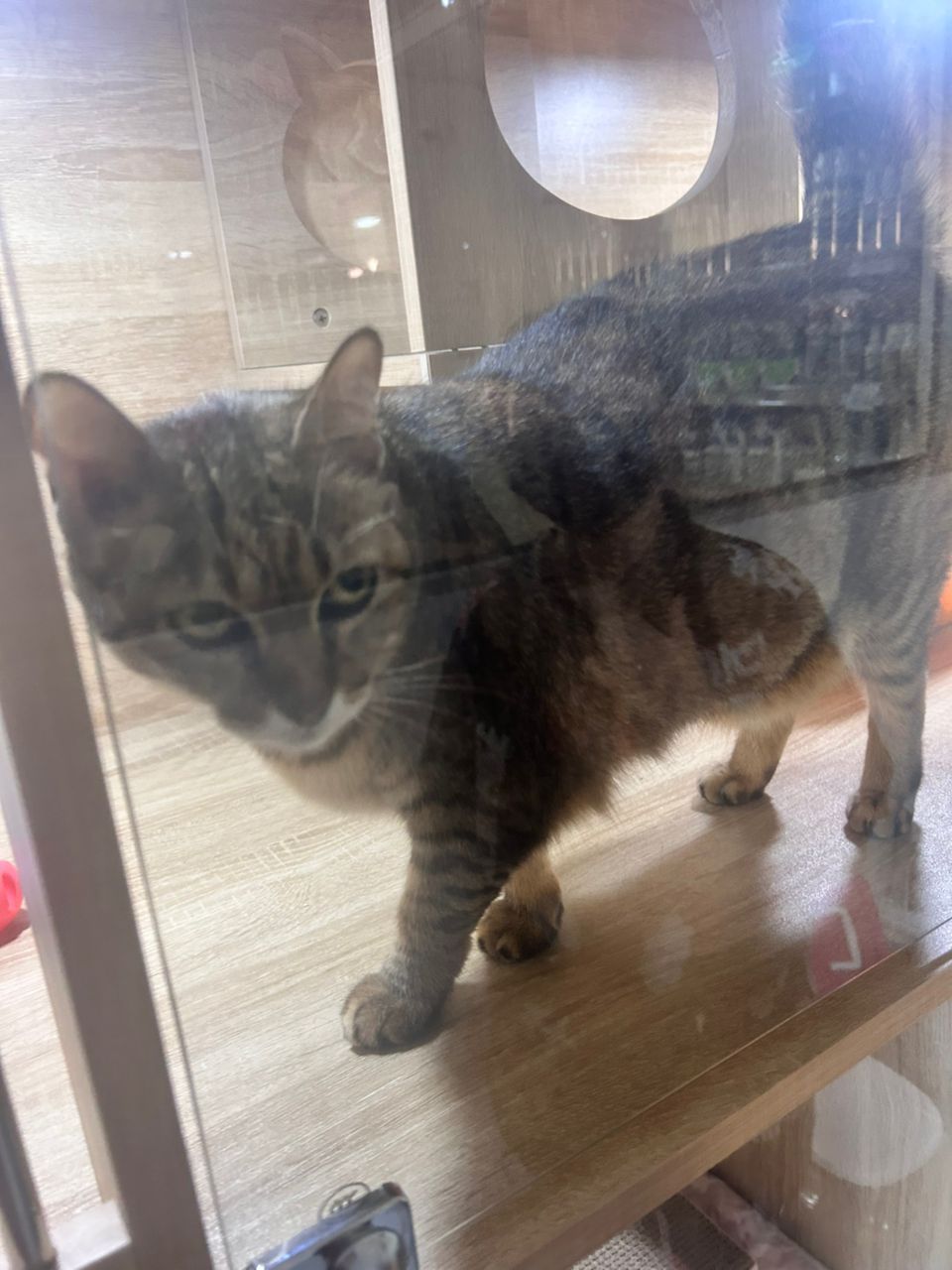 肥婆 - 25350, Kuantan