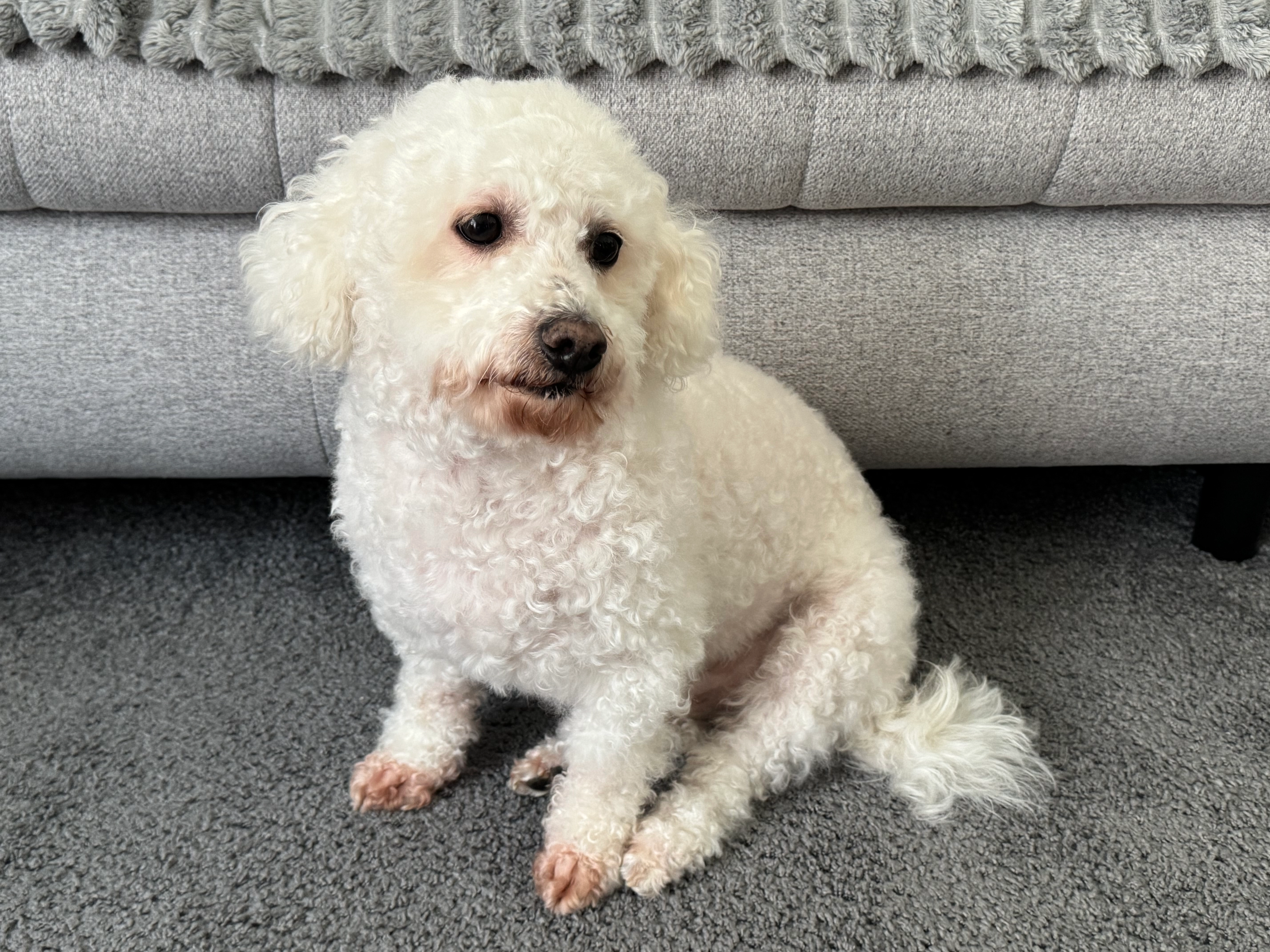 Pufi - Barleber Chaussee, Magdeburg