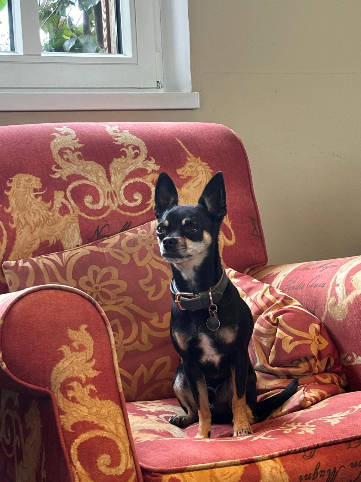 Björn  - Theodor-Hartz-Straße, Goldenstedt