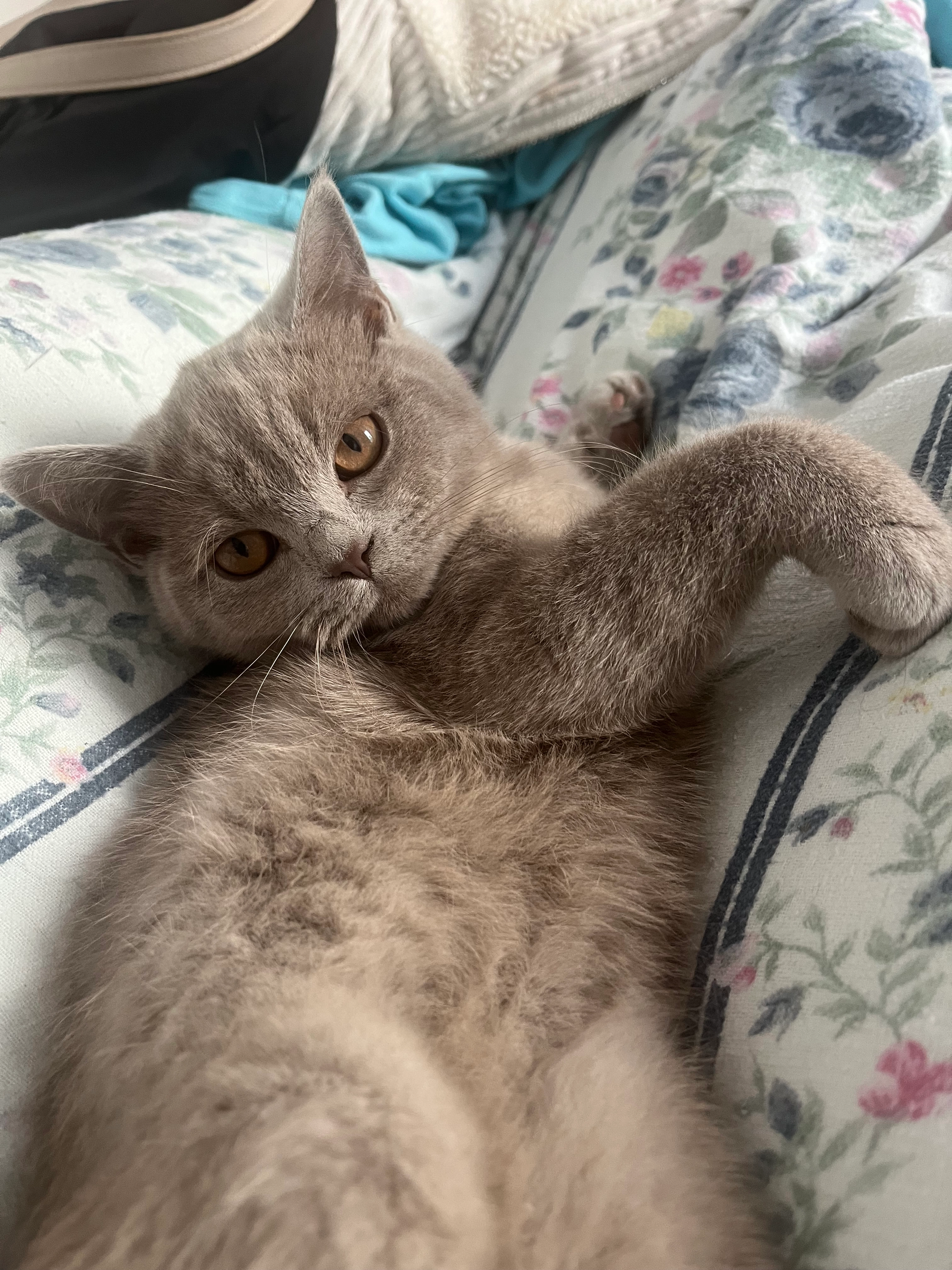 noch keinen Namen - Steinweg, Halle